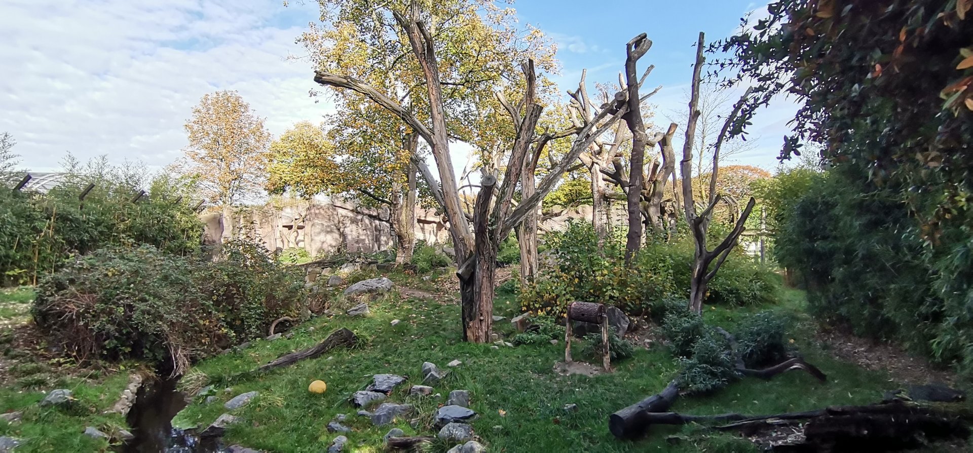 Spectacled Bear exhibit