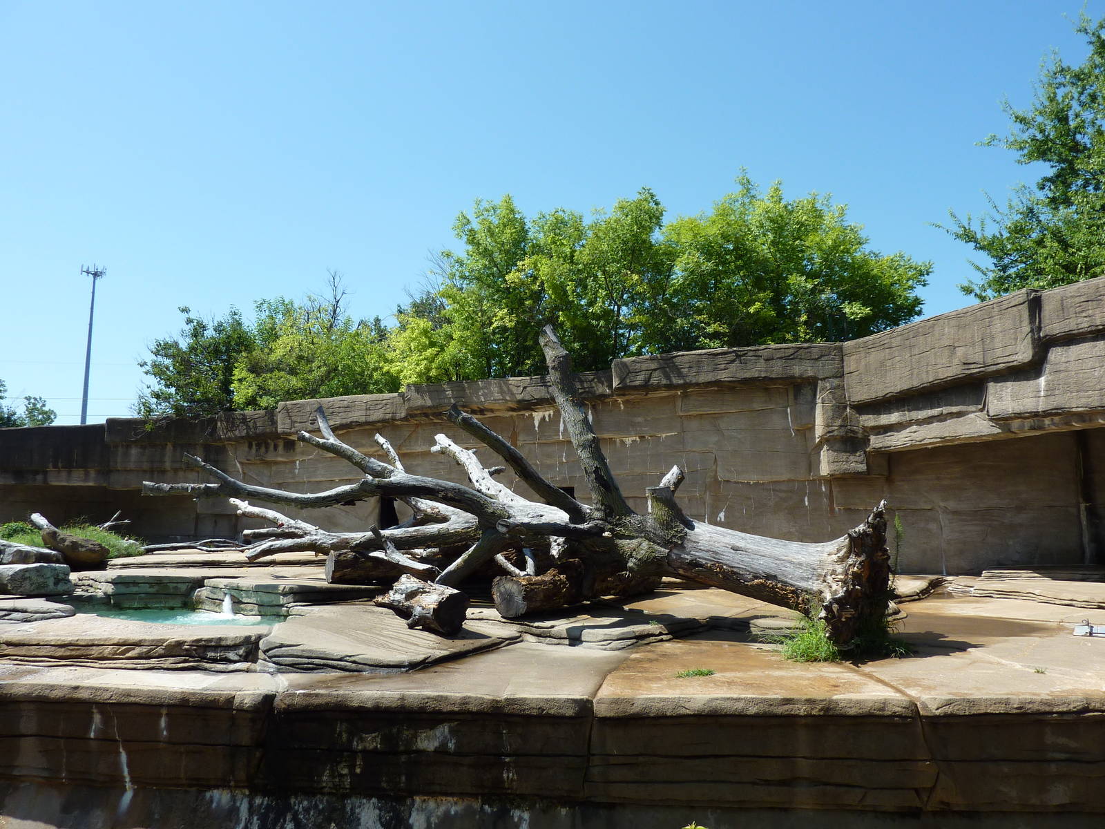 Spectacled Bear Grotto