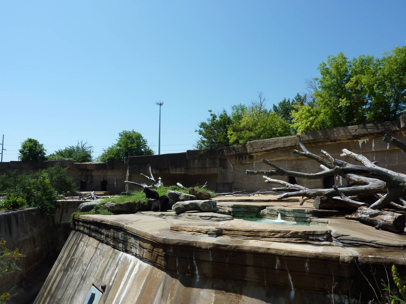 Spectacled Bear Grotto