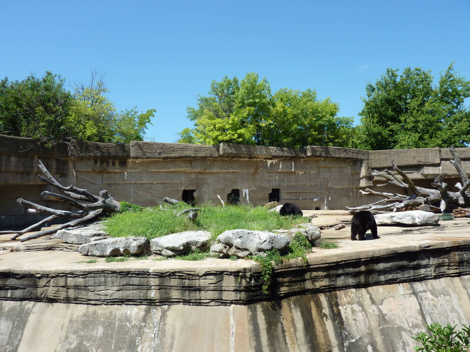 Spectacled Bear Grotto