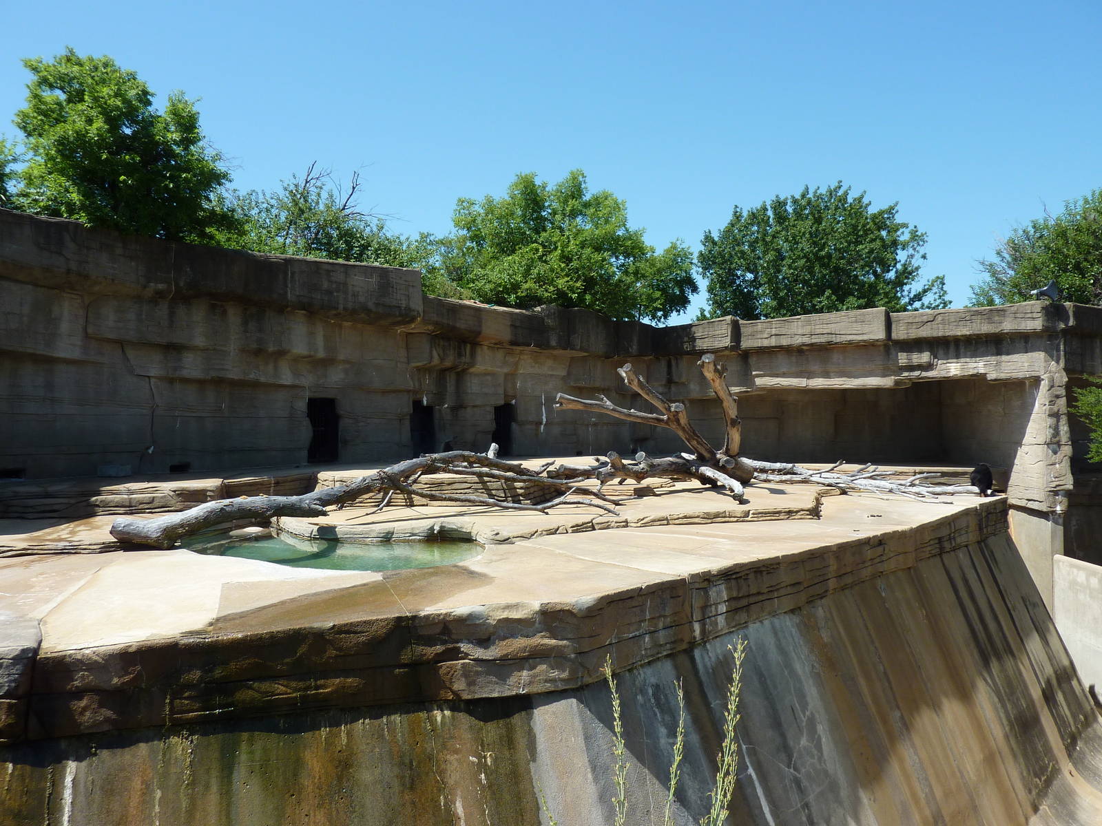 Spectacled Bear Grotto