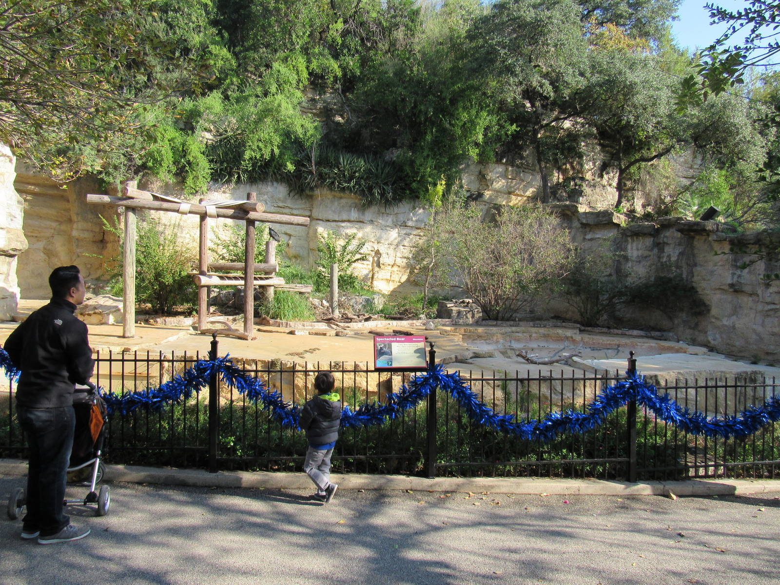 Spectacled Bear Grotto