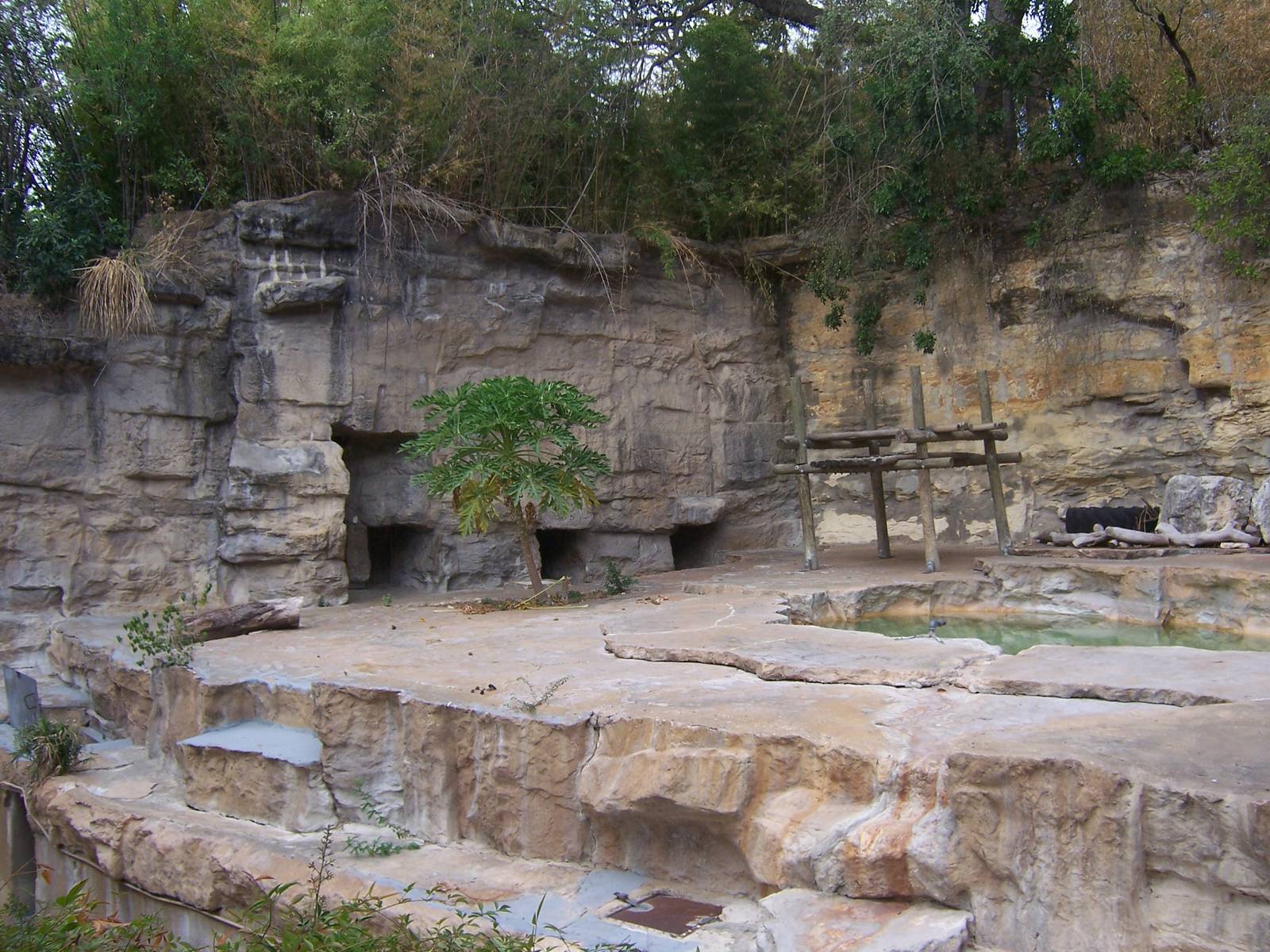 Spectacled Bear Grotto