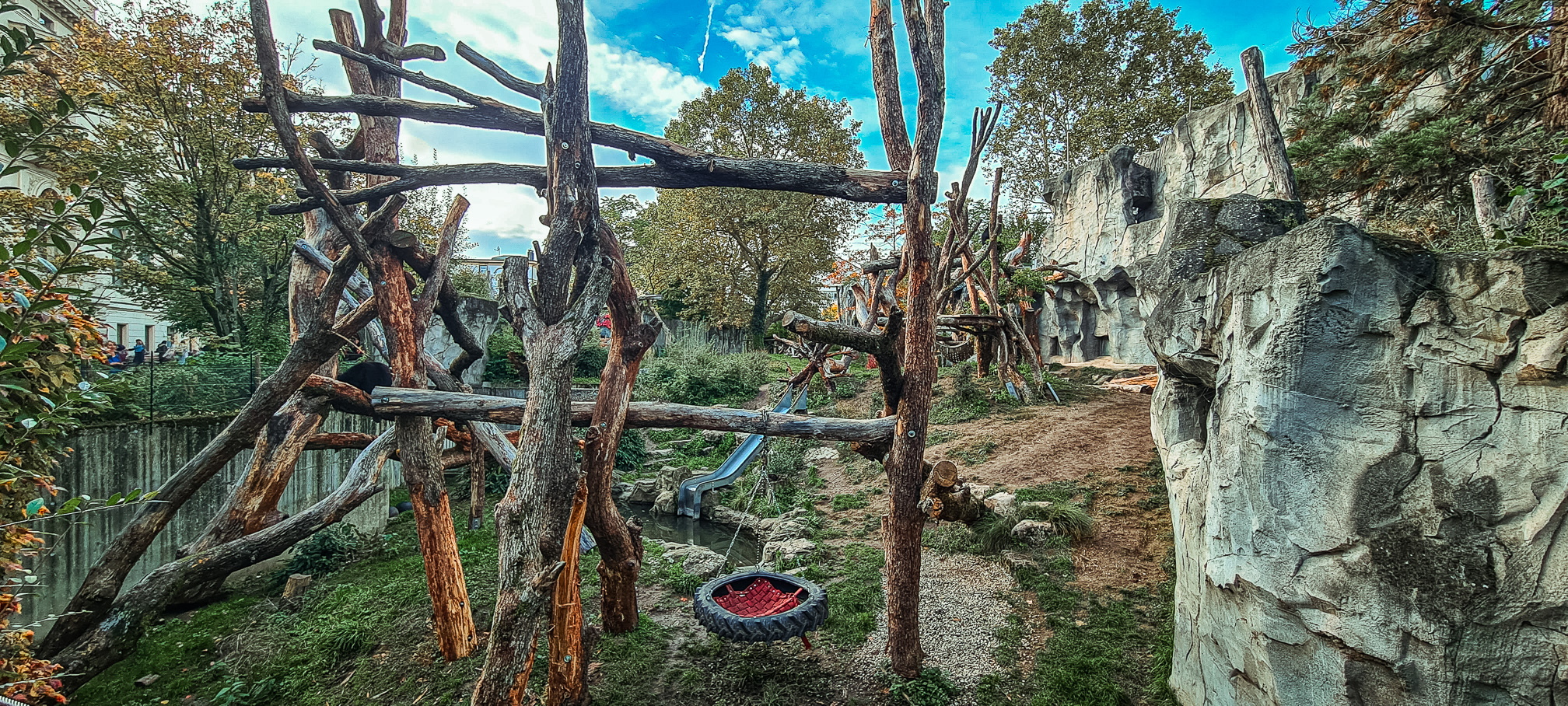 Spectacled bear habitat