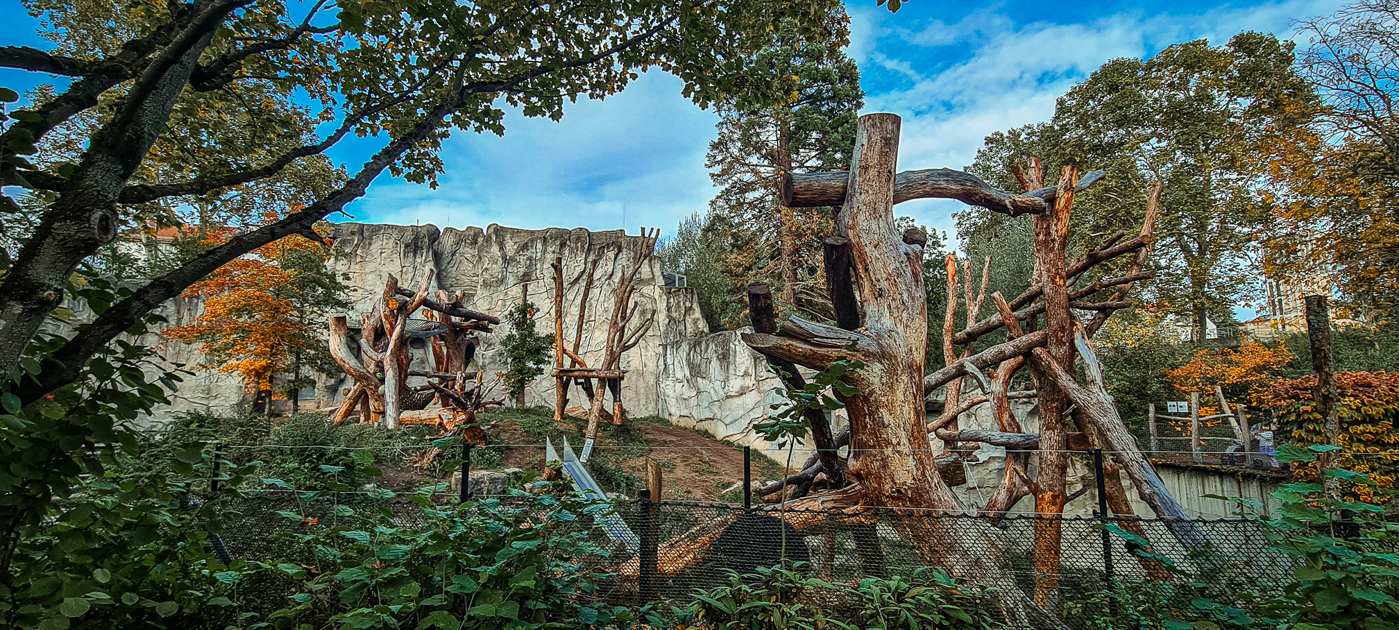 Spectacled bear habitat