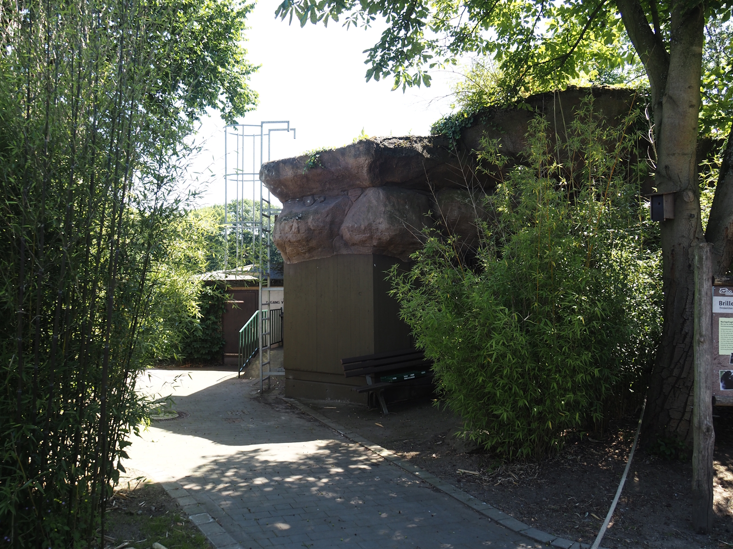 Spectacled bear holding, 2024-06-08