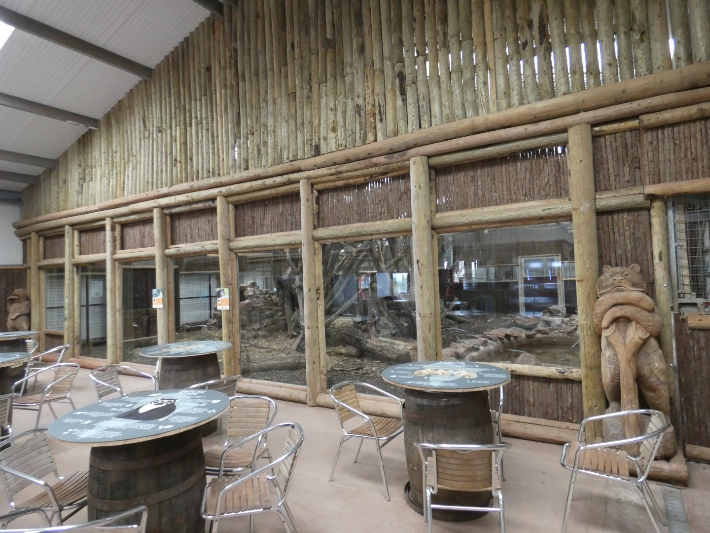 Spectacled bear indoor enclosure viewing area