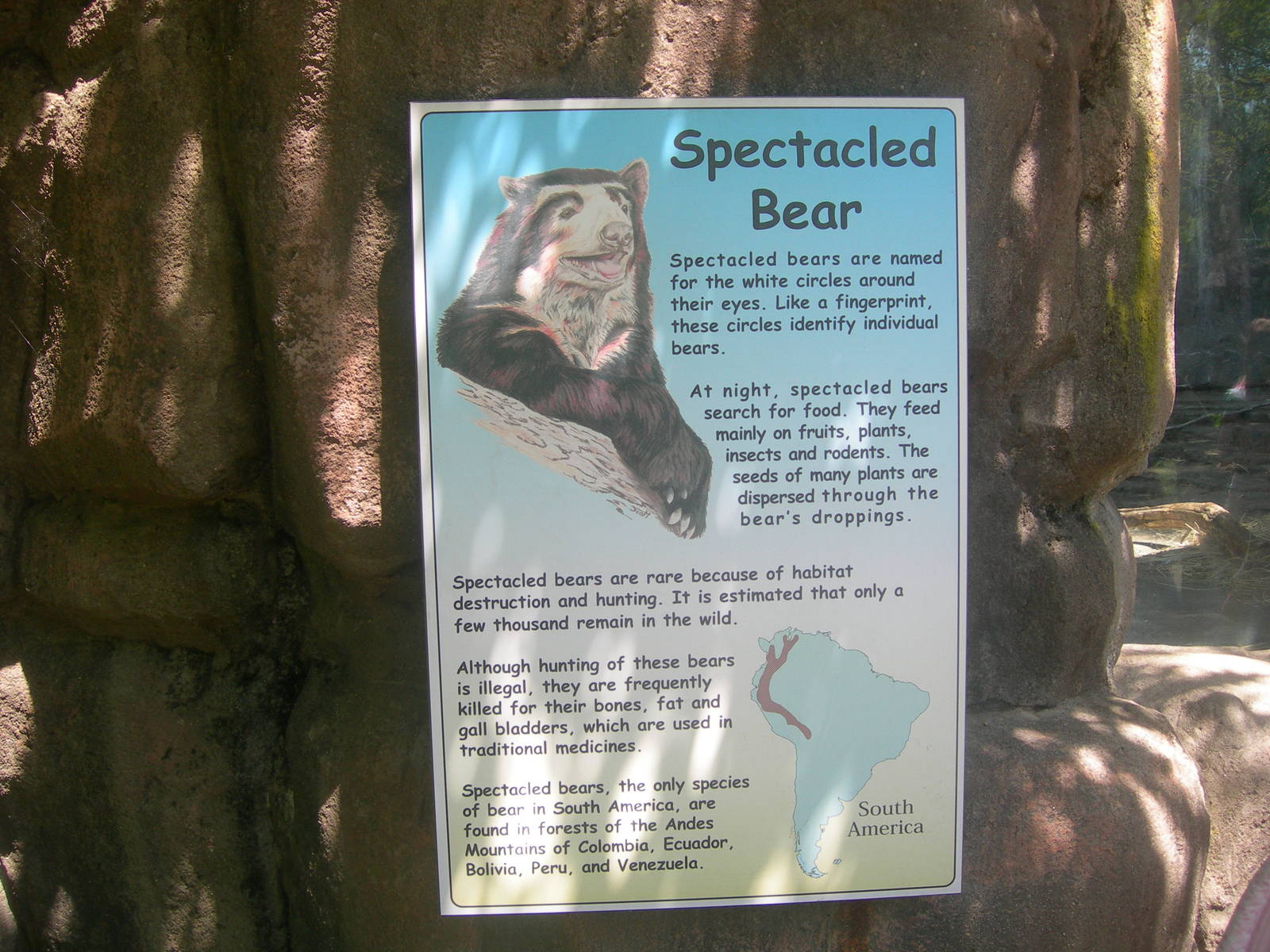 Spectacled Bear Sign