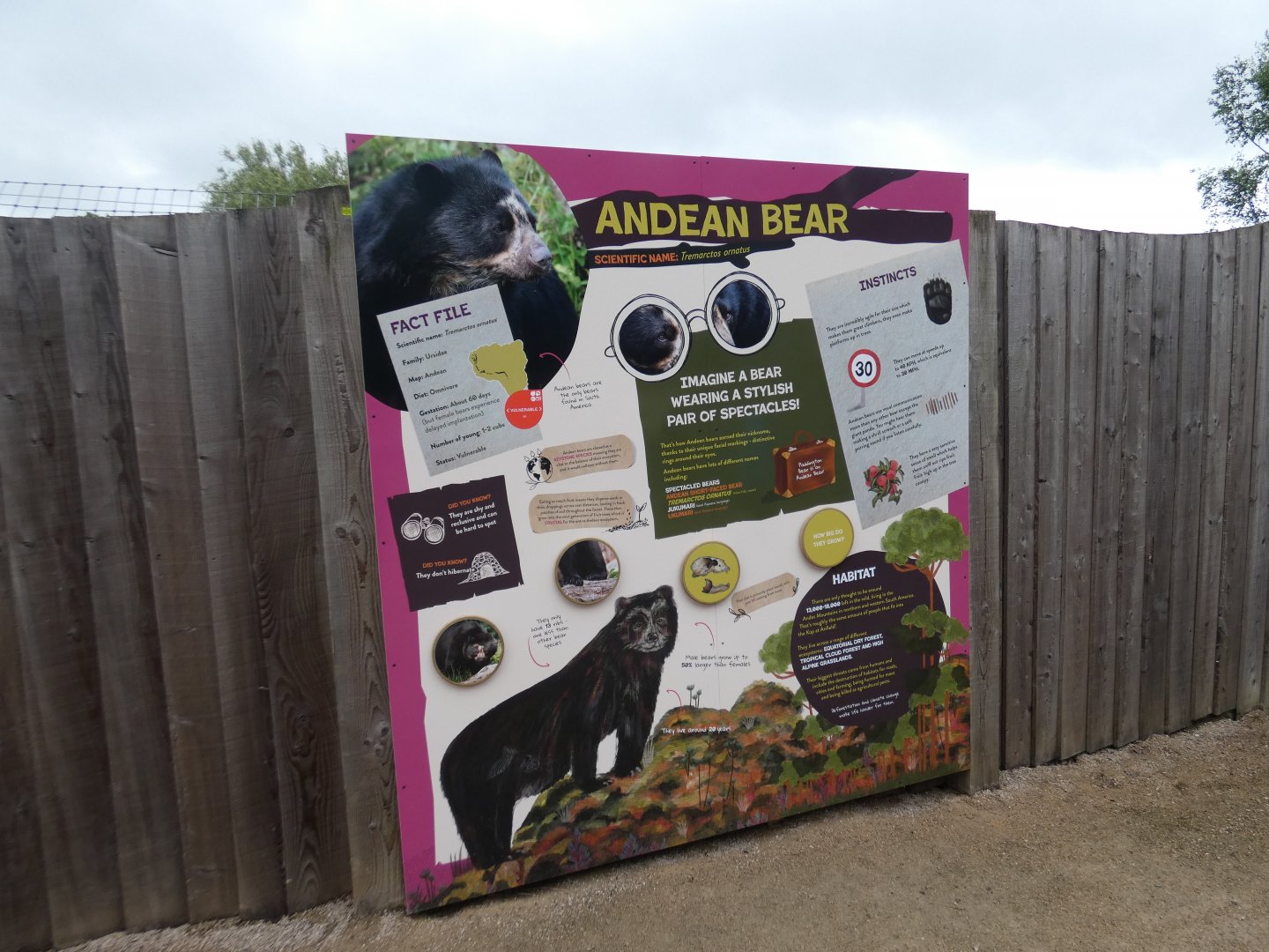 Spectacled bear signage
