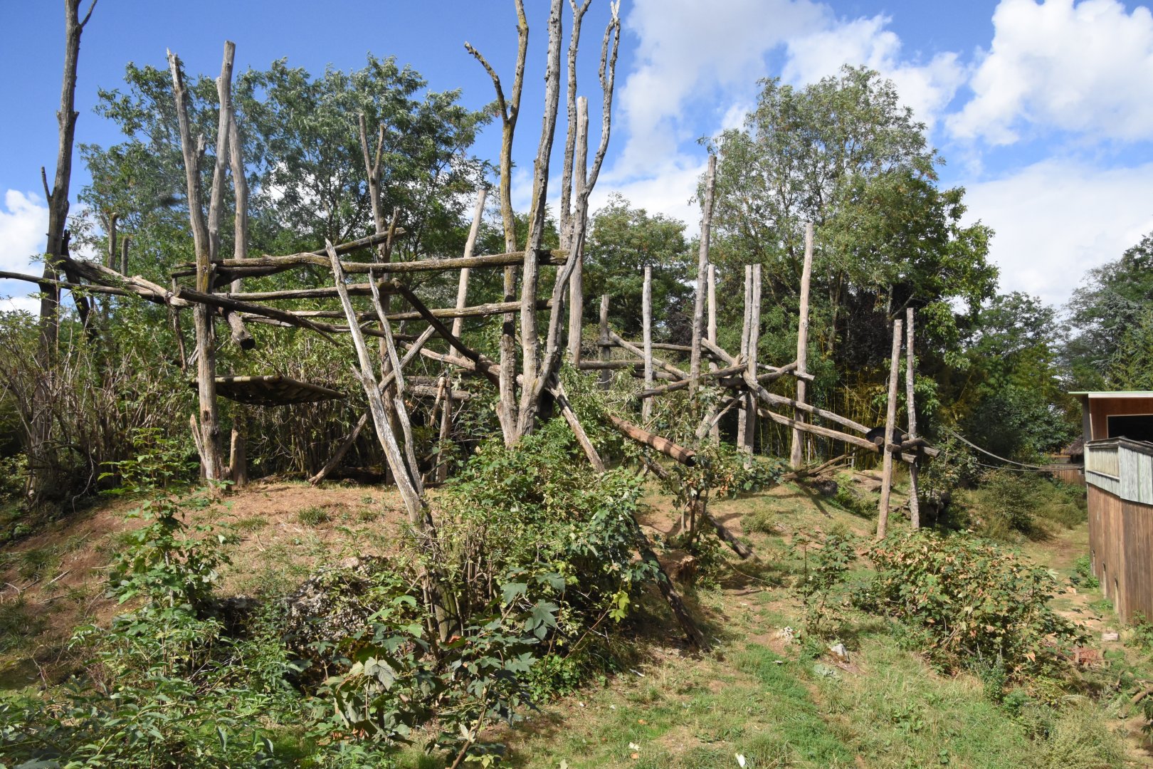 Spectacled Bear & Squirrel Monkey enclosure