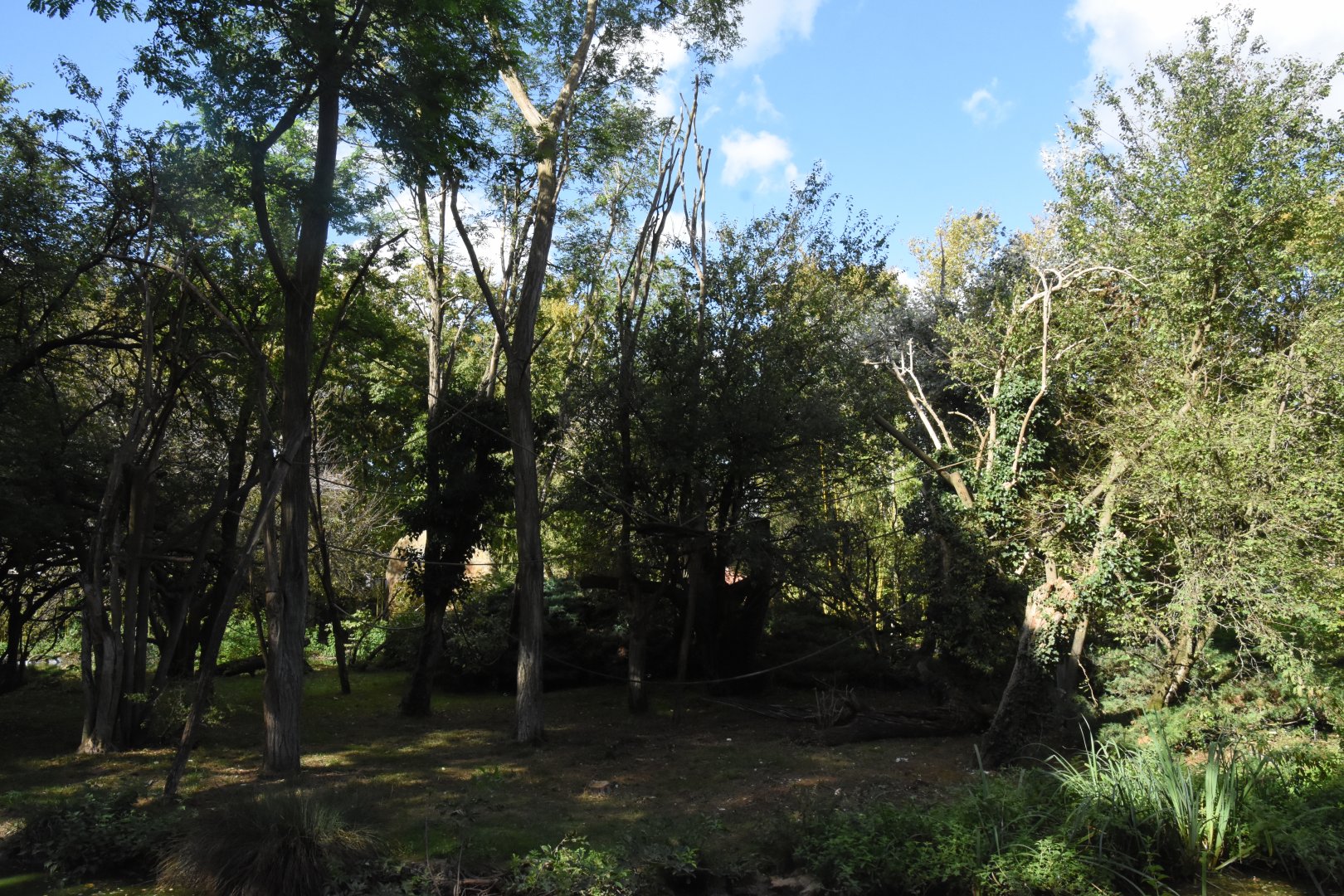 Spectacled Bear & Squirrel Monkey enclosure