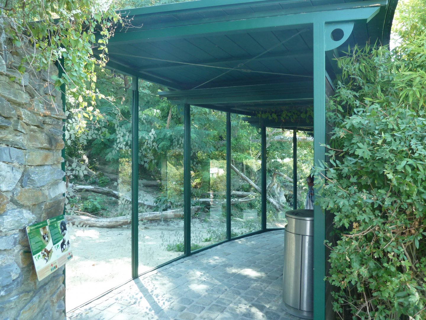 Spectacled bear viewing point