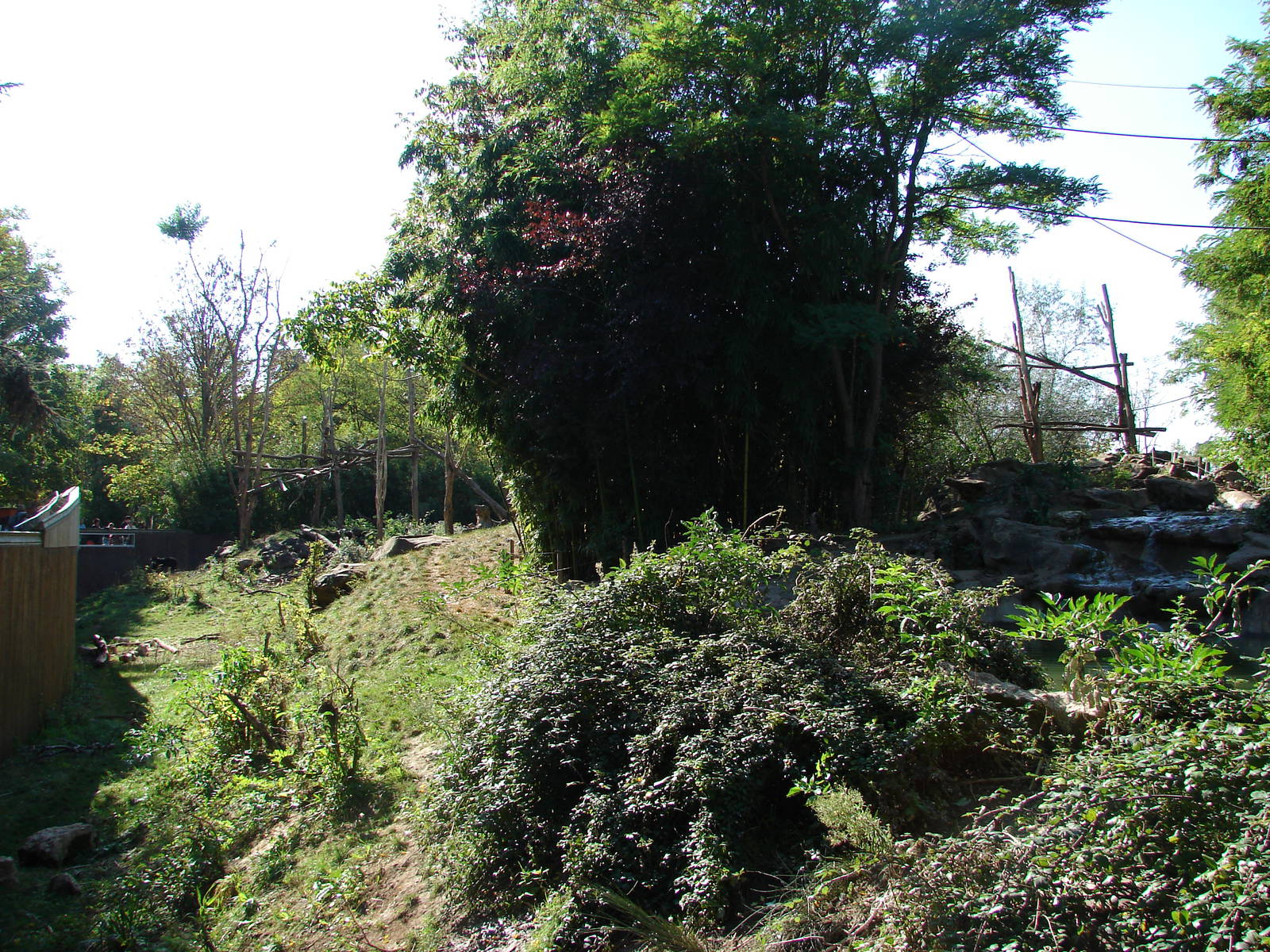 Spectacled bears exhibit