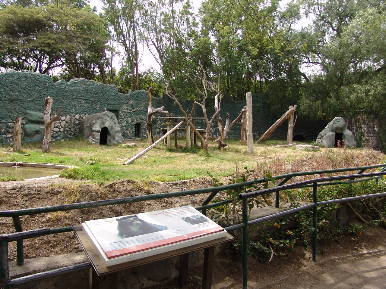 Spectacled Bears' (Tremarctos ornatus) enclosure
