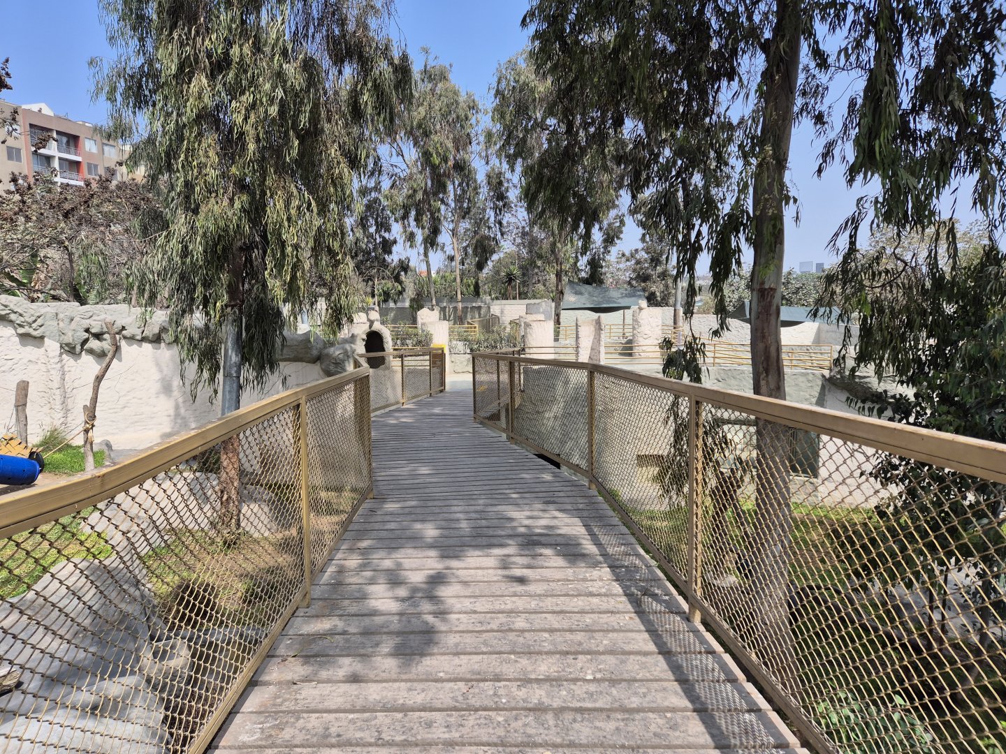 Spectacled Bears viewing platform