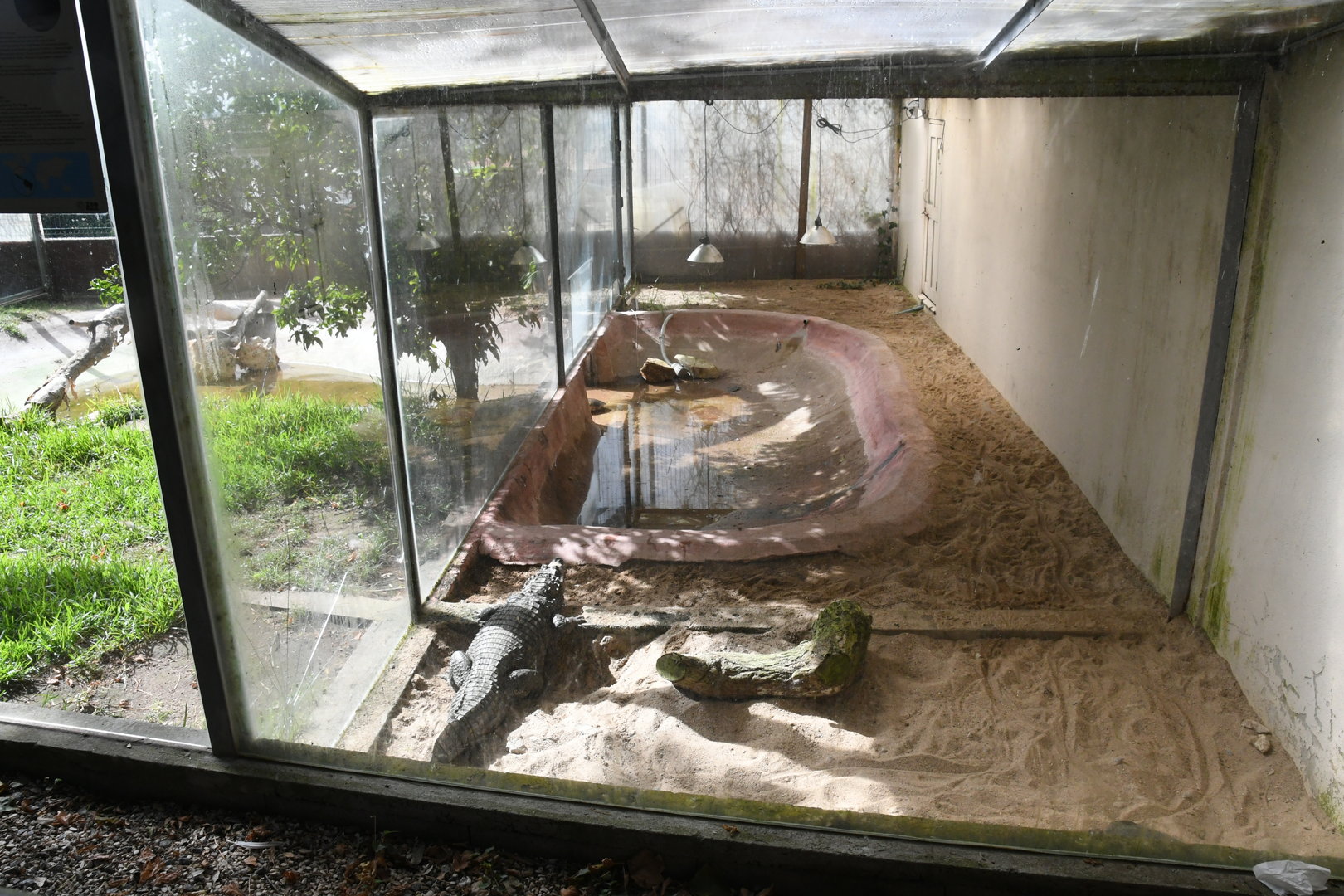 Spectacled Caiman/Common Snapping Turtle pen