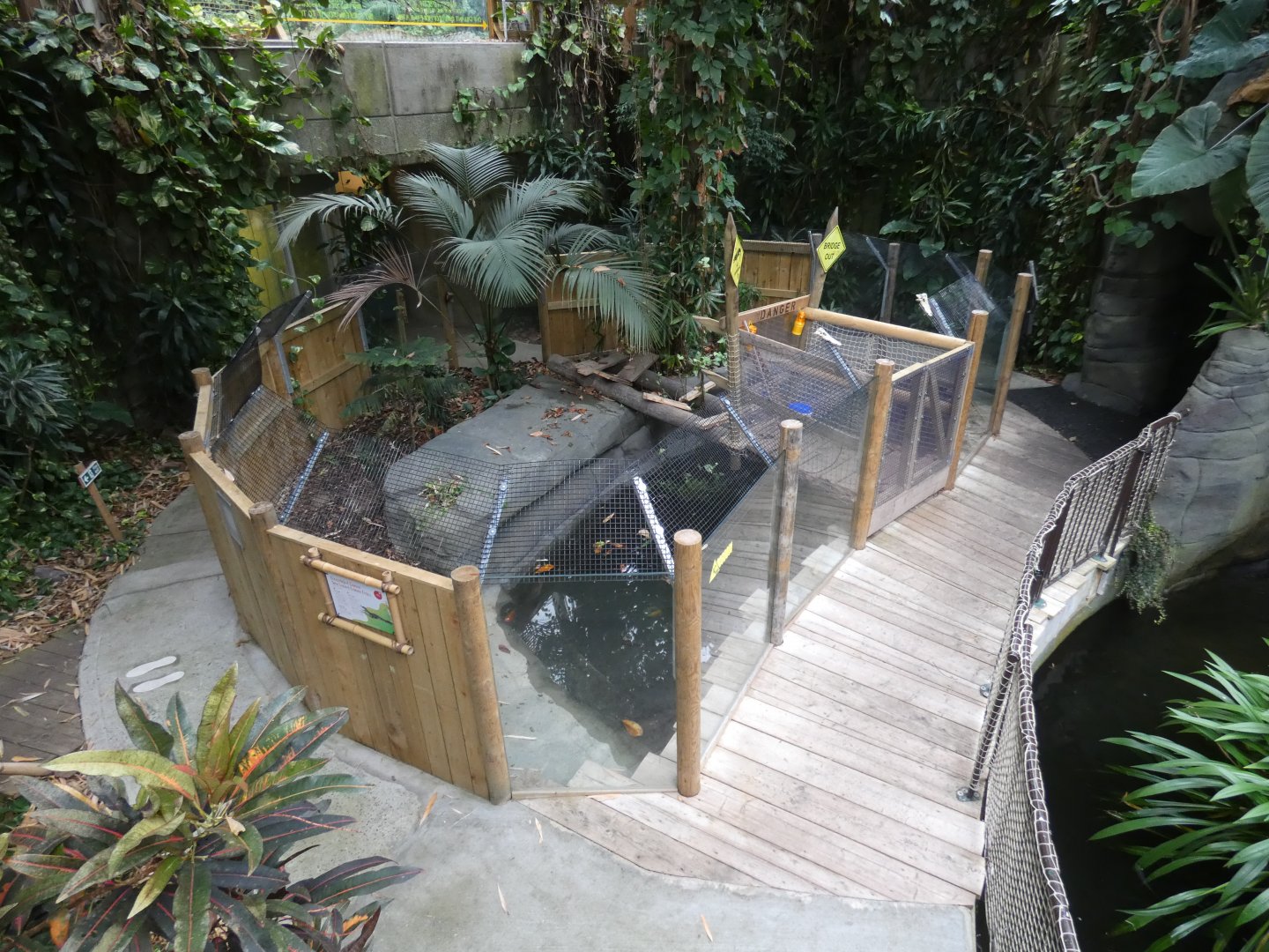Spectacled caiman enclosure (Plantasia Swansea)