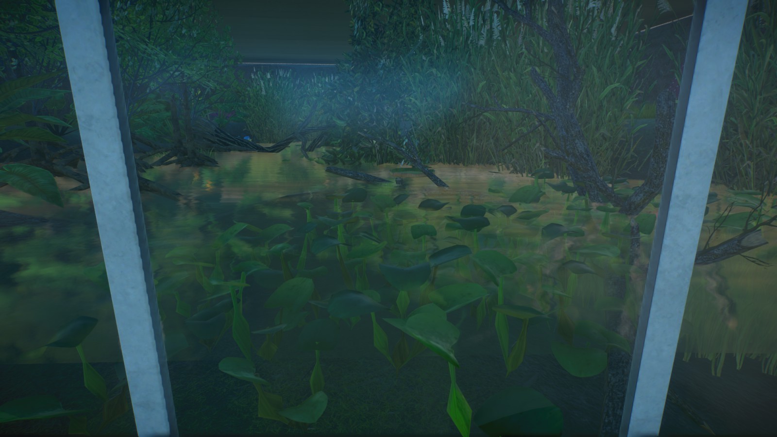 Spectacled Caiman Enclosure