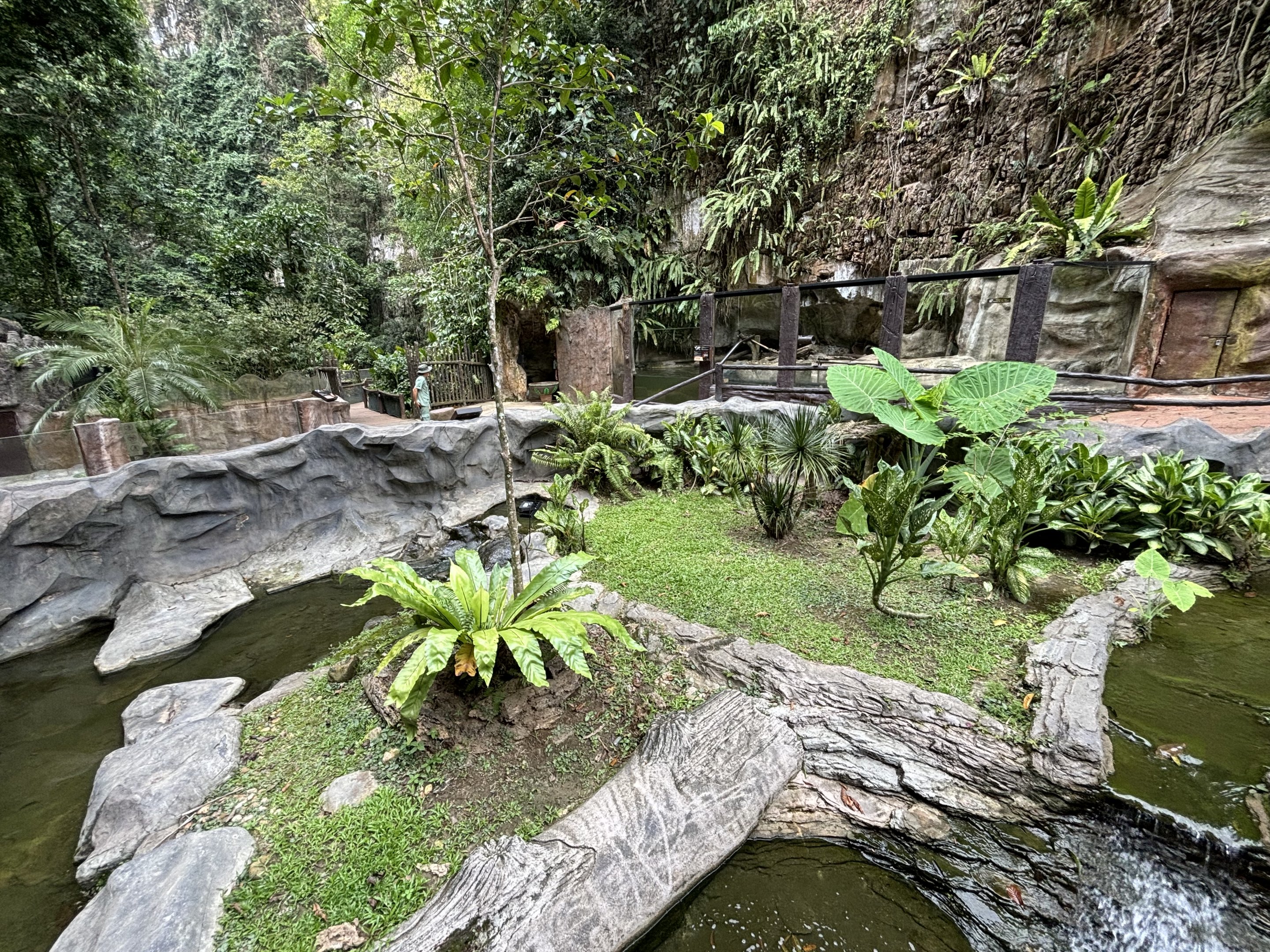 Spectacled Caiman Exhibit - Lost World of Tambun