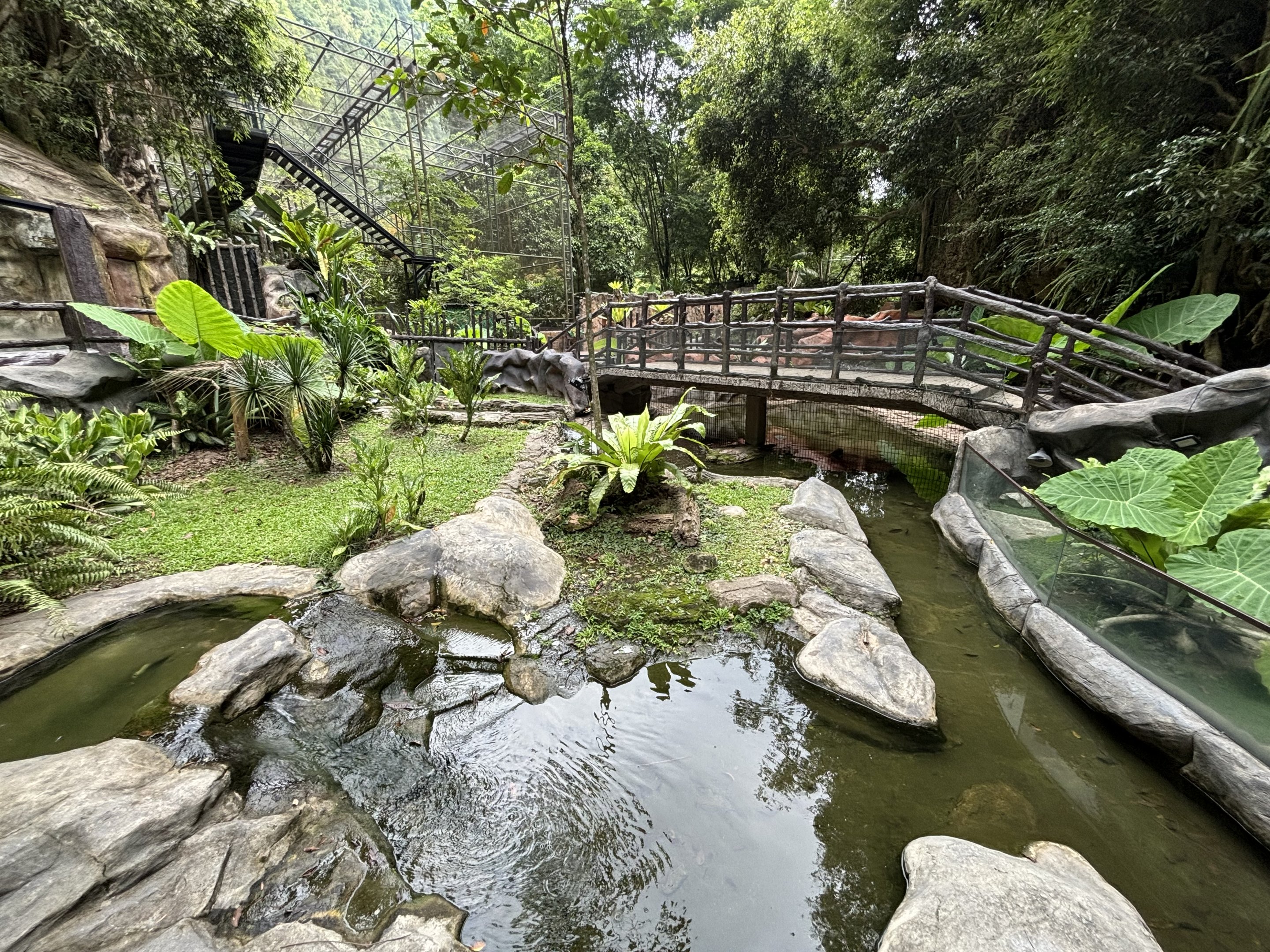 Spectacled Caiman Exhibit - Lost World of Tambun