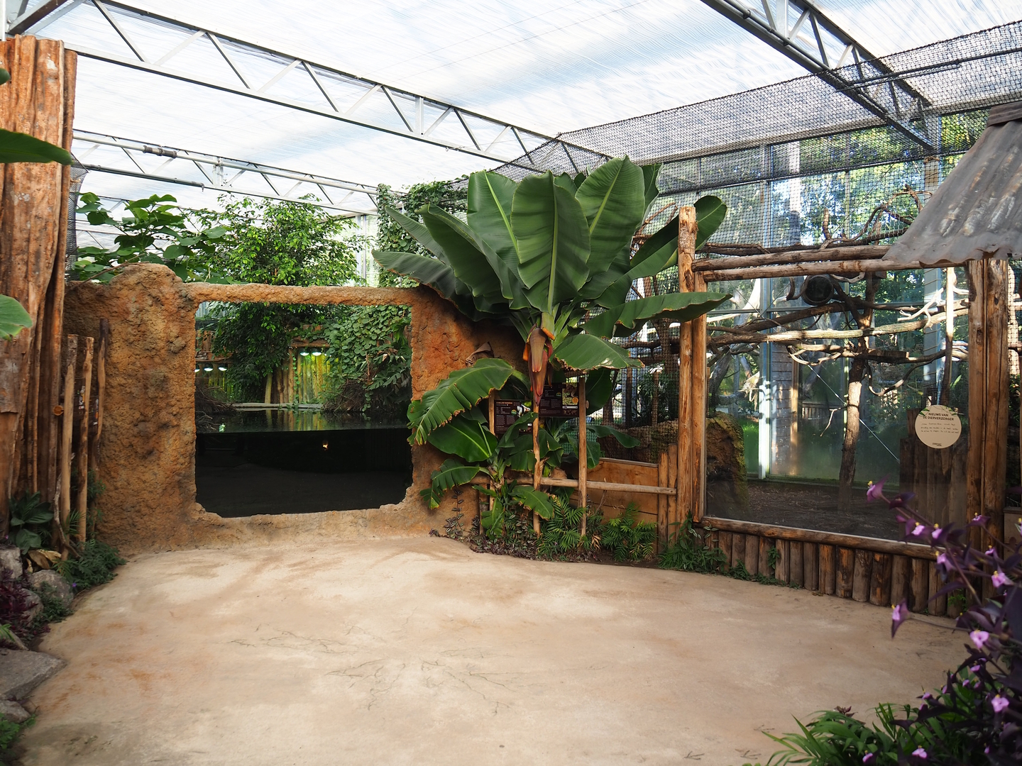 Spectacled caiman/Red-bellied piranha and Red titi/Southern tamandua/Azara's agouti exhibit viewing areas, 2022-10-09