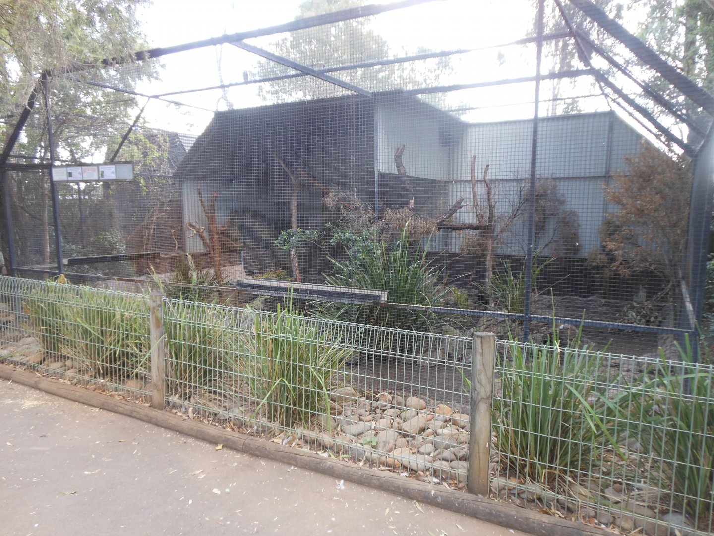 Spectacled Flying-fox & Long-nosed Potoroo exhibit