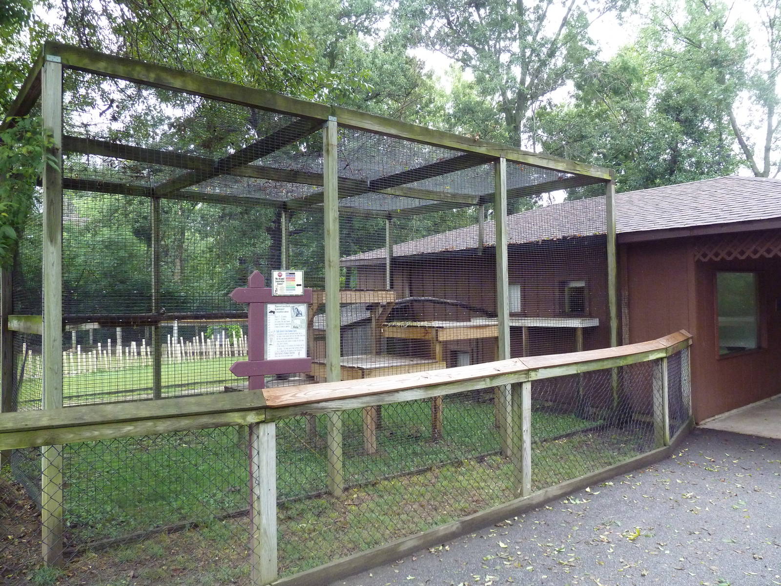 Spectacled Langur Exhibit