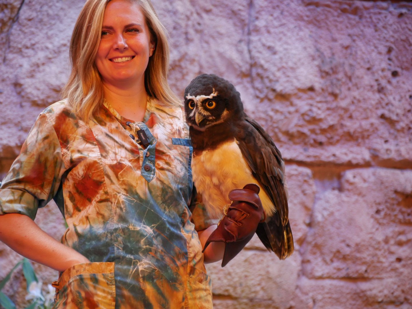 Spectacled Owl (2018)