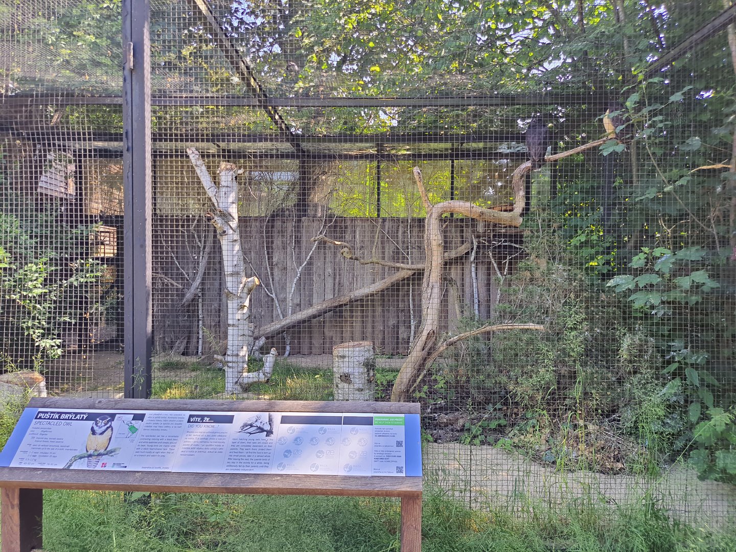 Spectacled Owl Aviary- Prague Zoo Praha