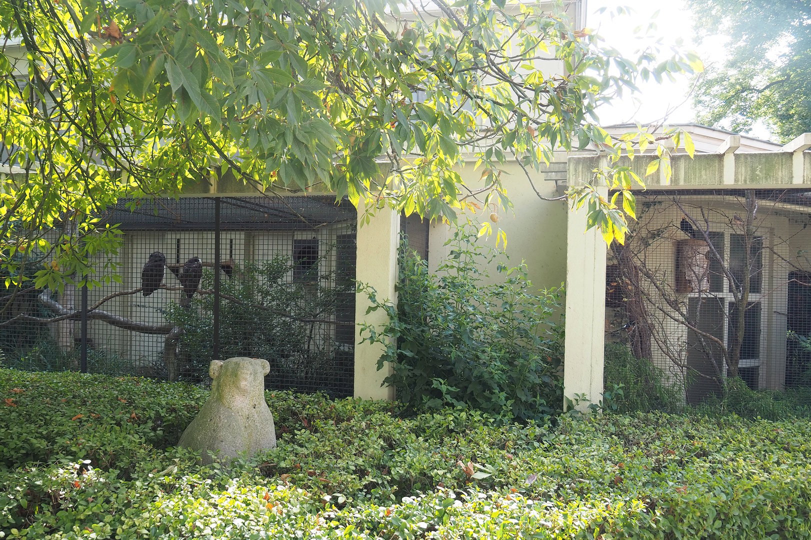 Spectacled owl aviary, shrubs with bear statue and part of White-rumped shama and Greater hill myna aviary, 2022-09-04