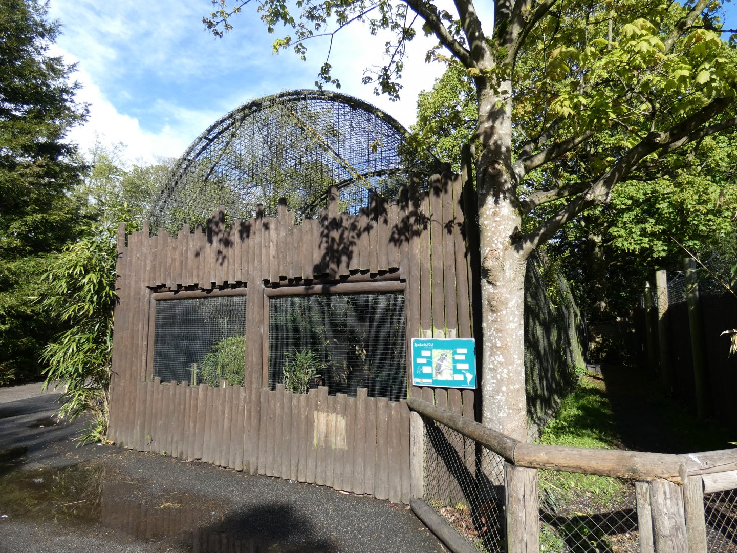Spectacled owl aviary