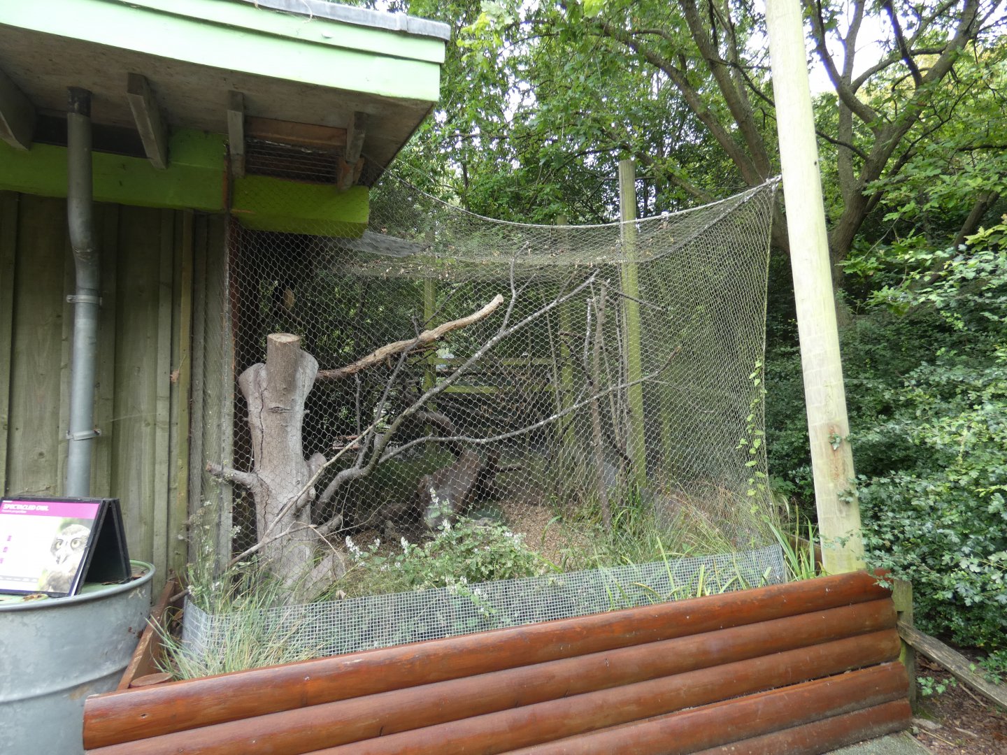 Spectacled owl aviary