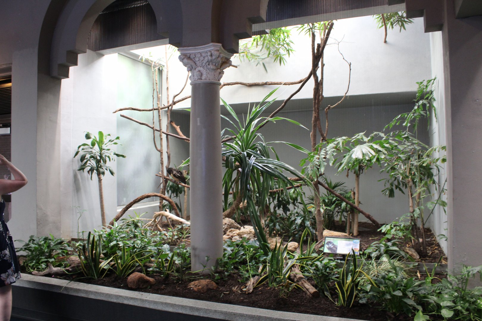 Spectacled Owl Exhibit - Bird House