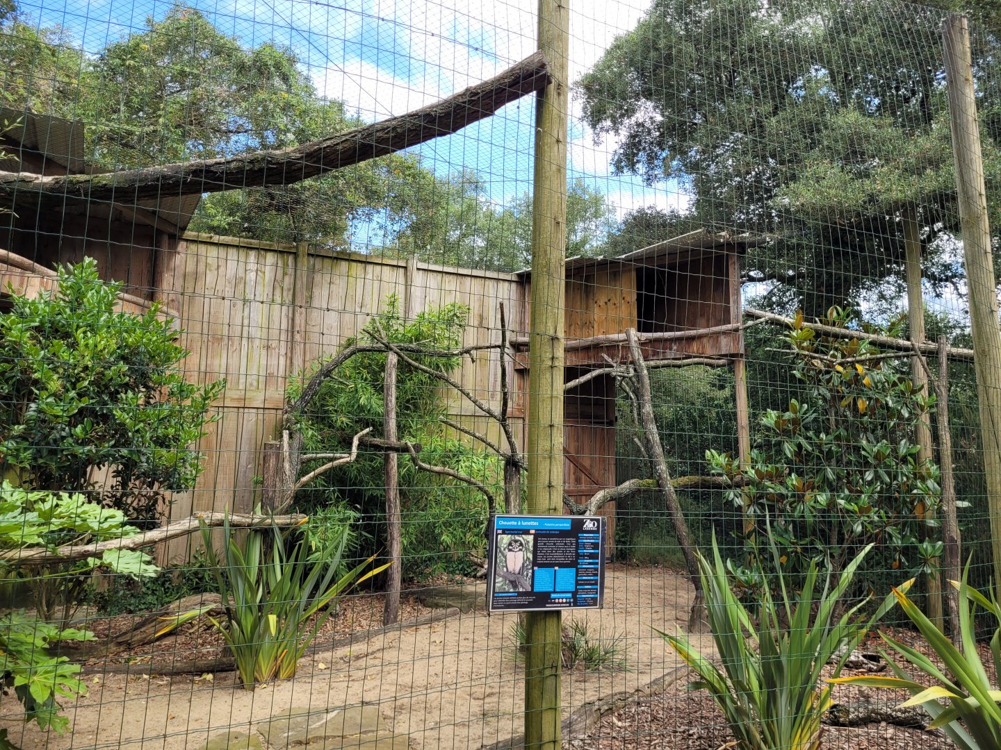 Spectacled owl exhibit -Zoo de Labenne (2024)