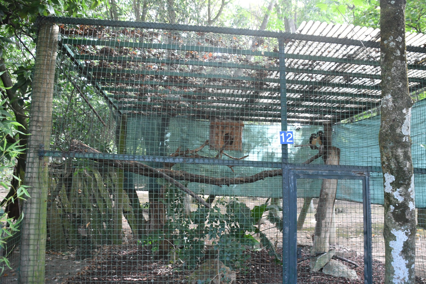 Spectacled Owls Aviary (Zoo Lourosa)