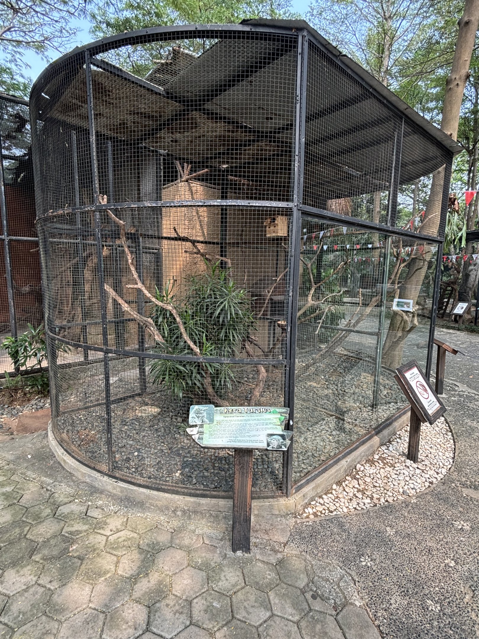 Spectral Tarsier Exhibit