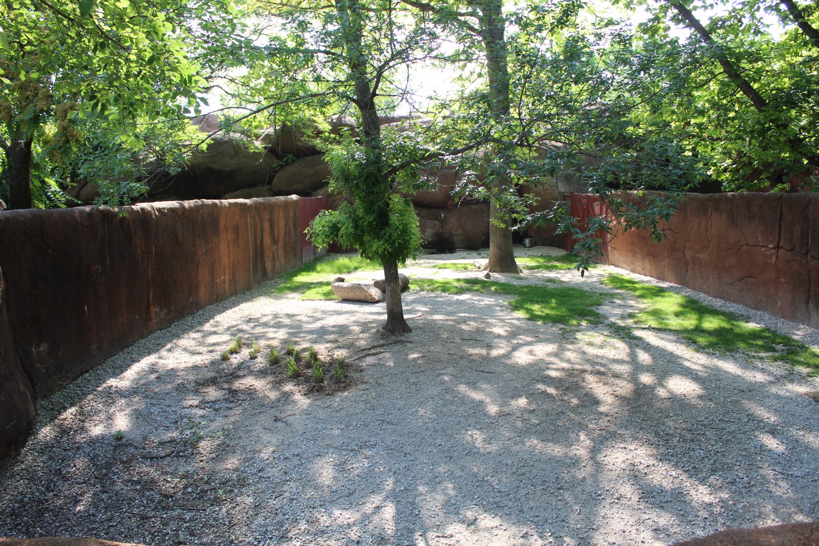Speke's Gazelle Exhibit (One of Several) - Red Rocks