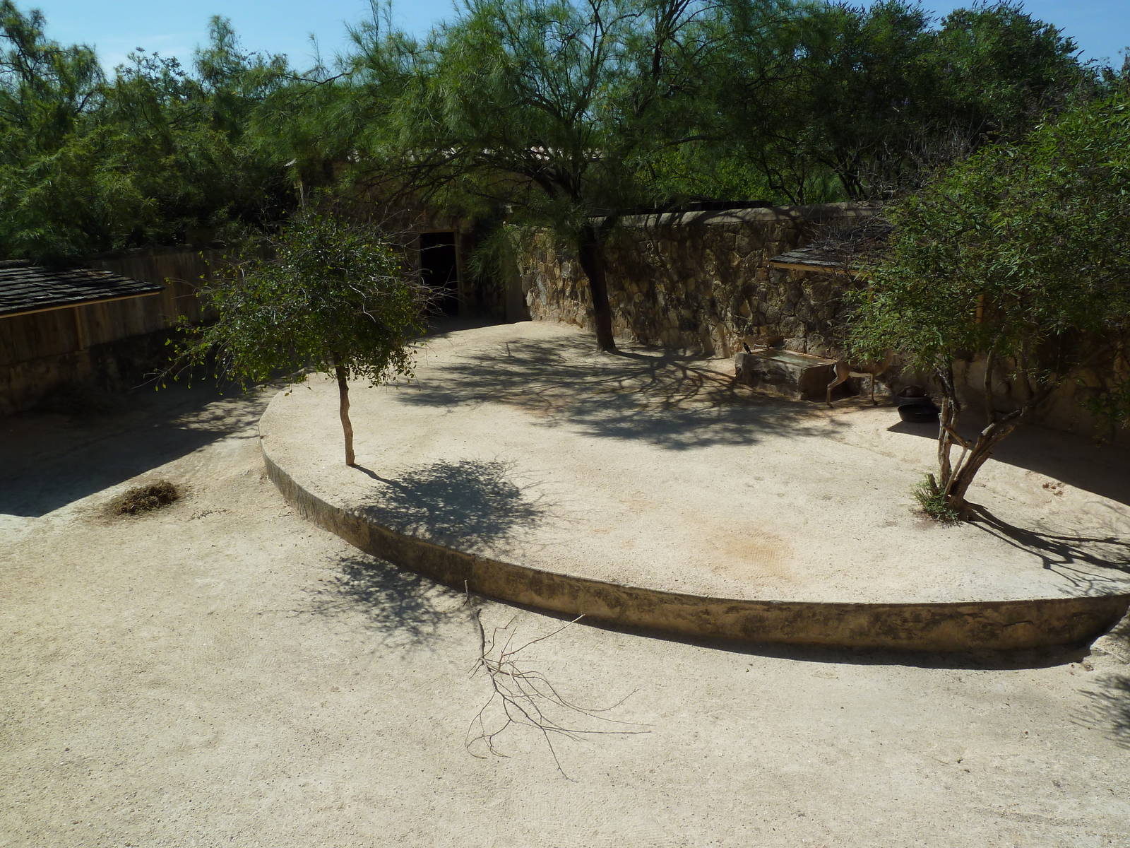 Speke's Gazelle Exhibit