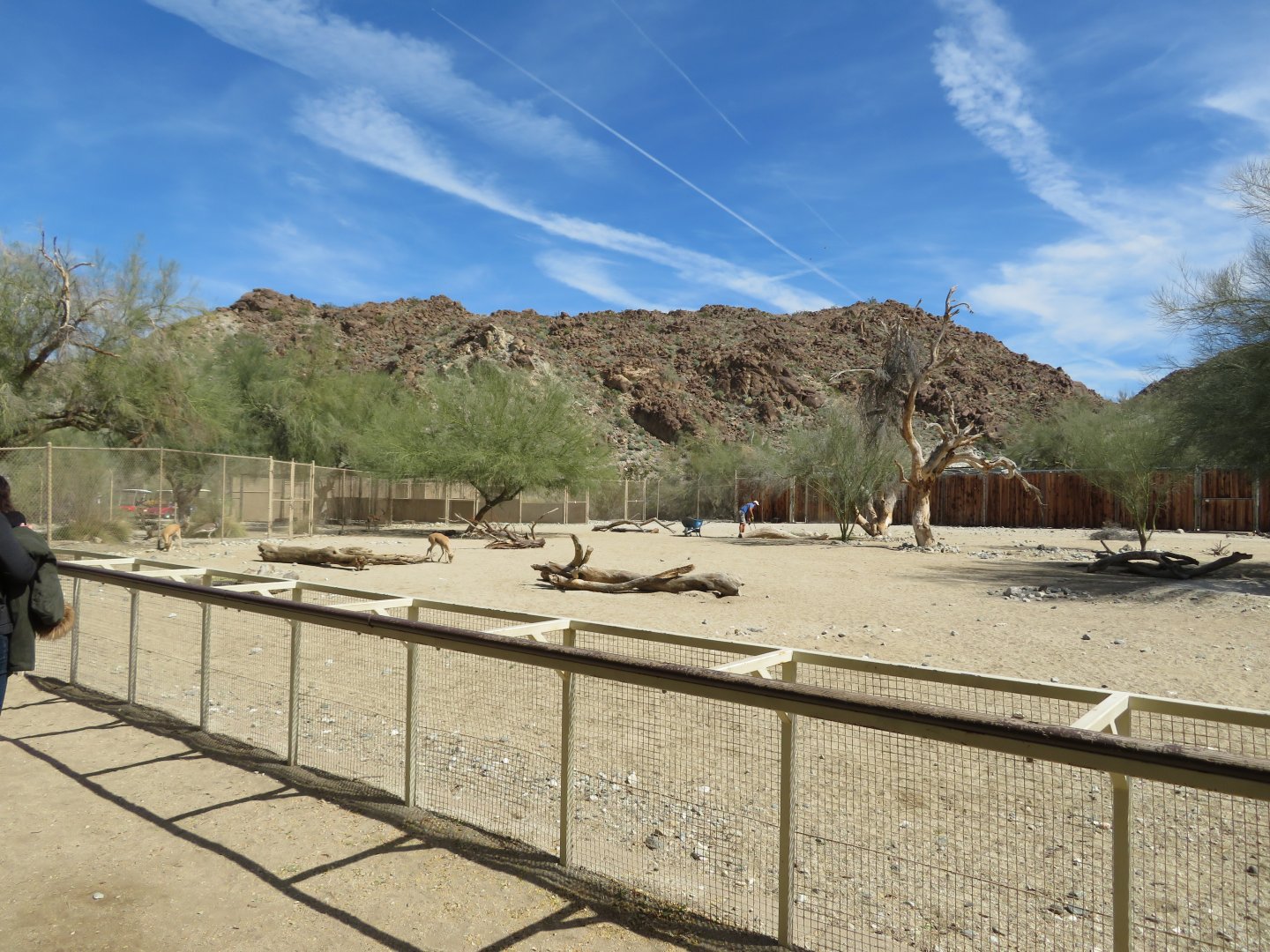 Speke's Gazelle Exhibit