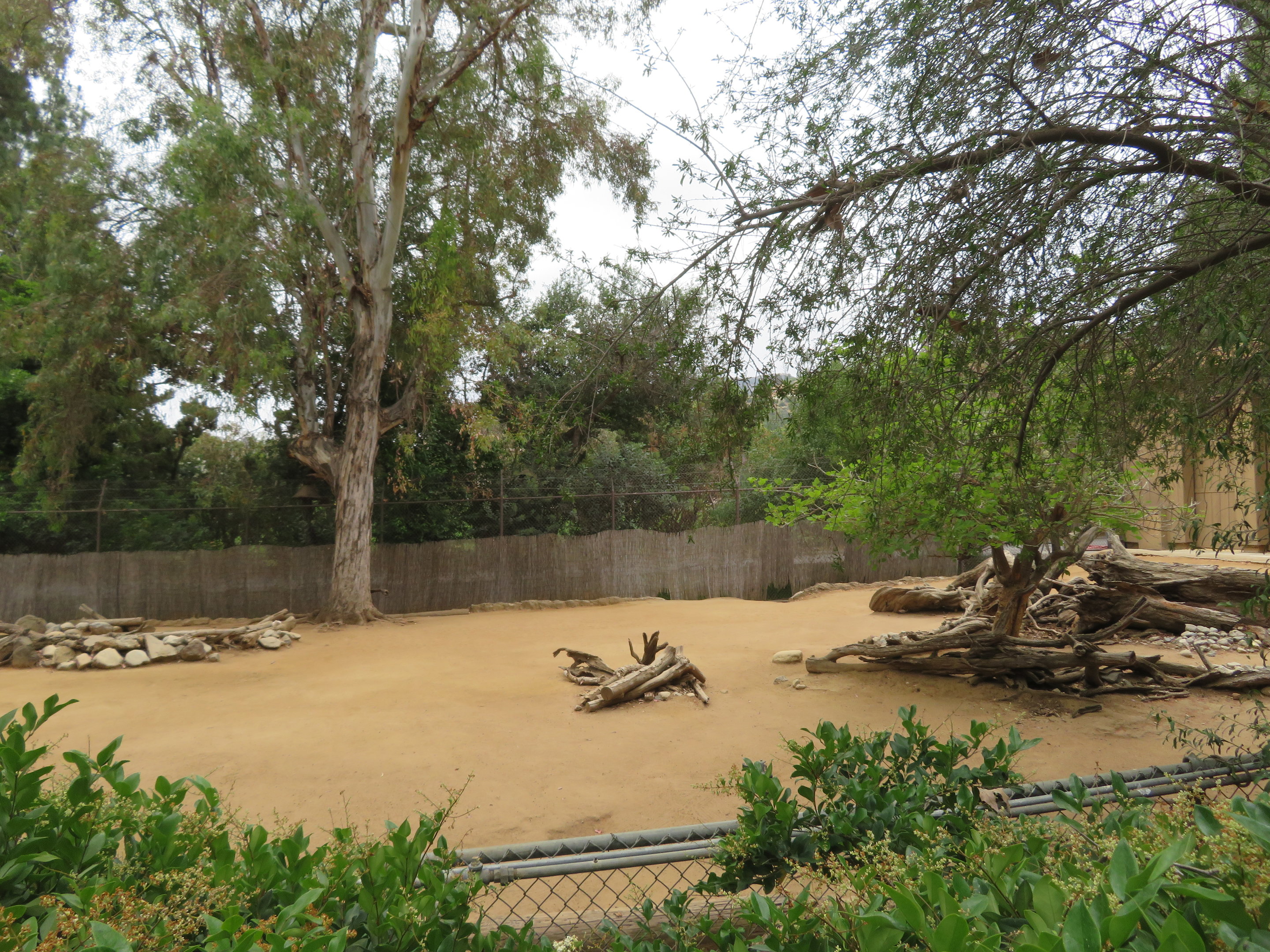 Speke's Gazelle Exhibit
