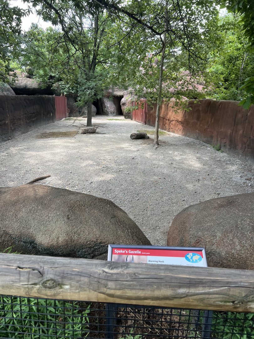 Speke’s Gazelle Exhibit