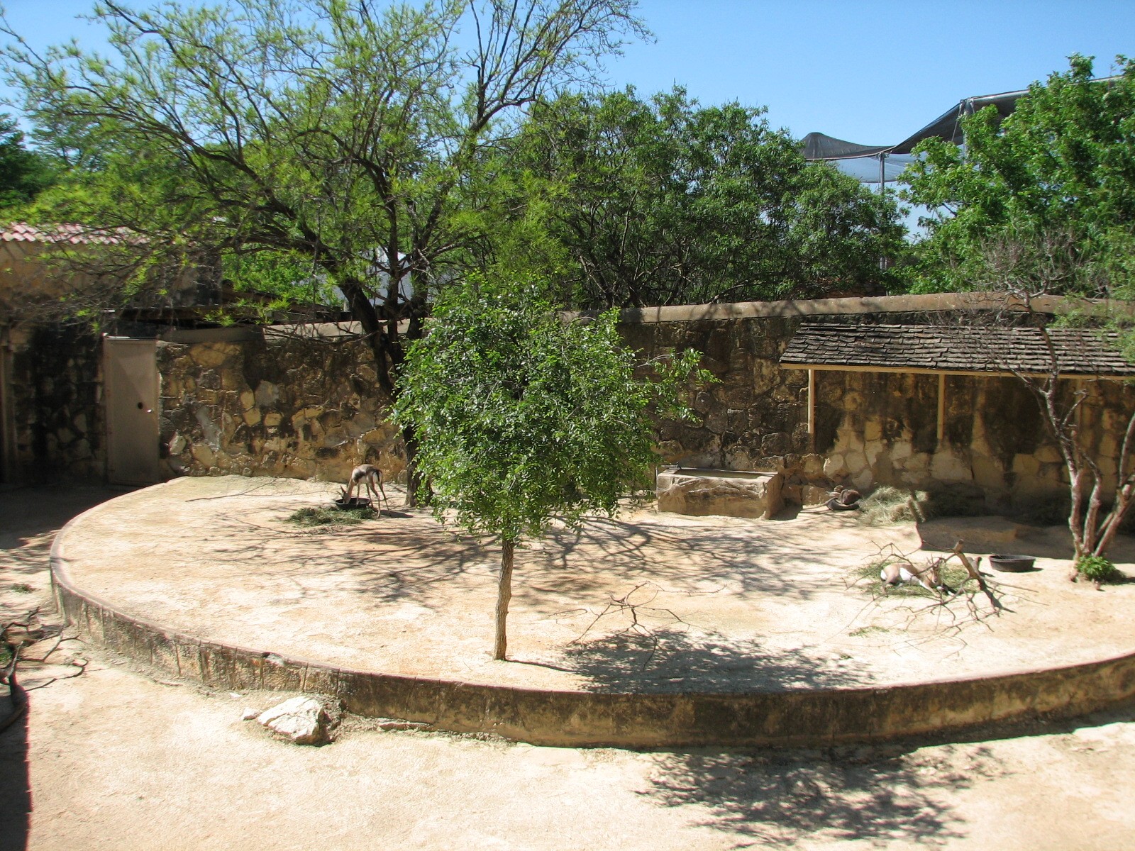 Spekes Gazelle Exhibit