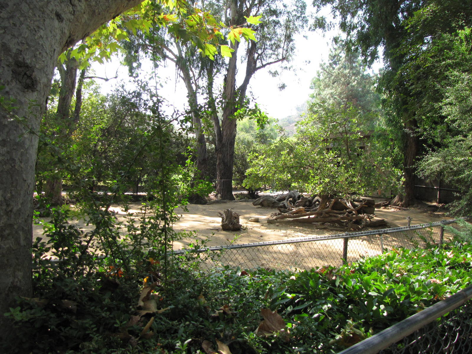 Speke's Gazelle Yard