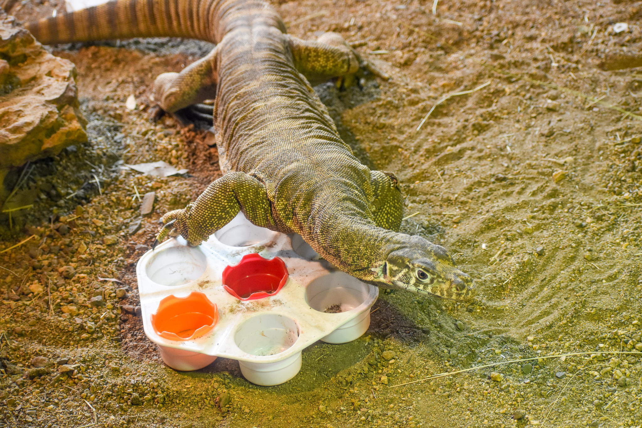 Spencer's Monitor Enclosure