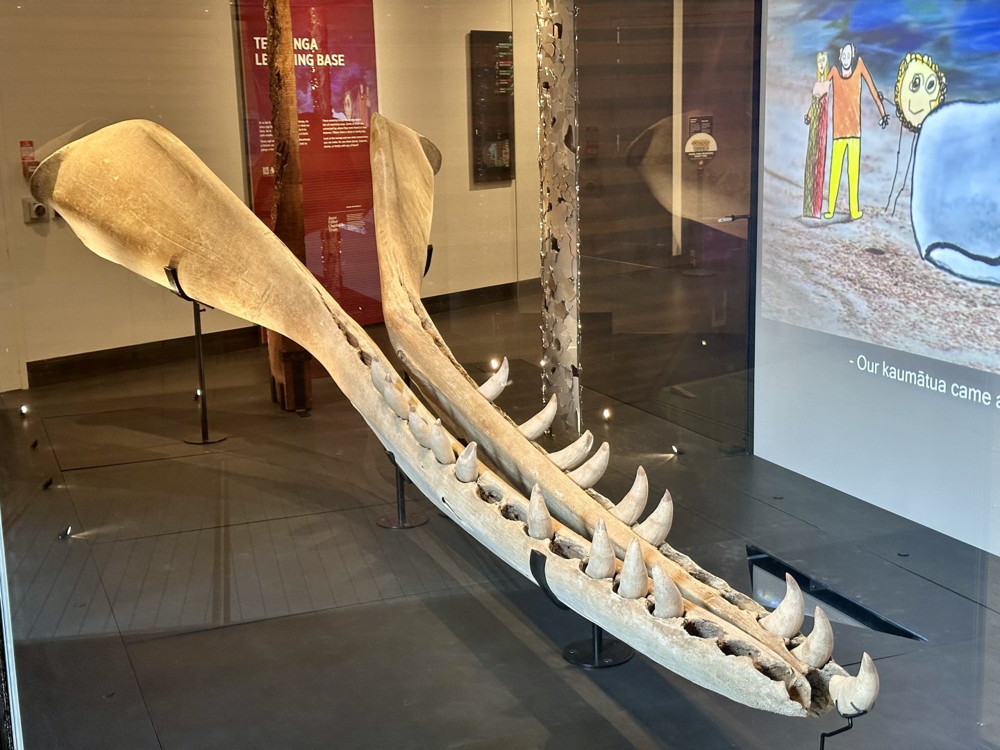 Sperm Whale (Jawbone)