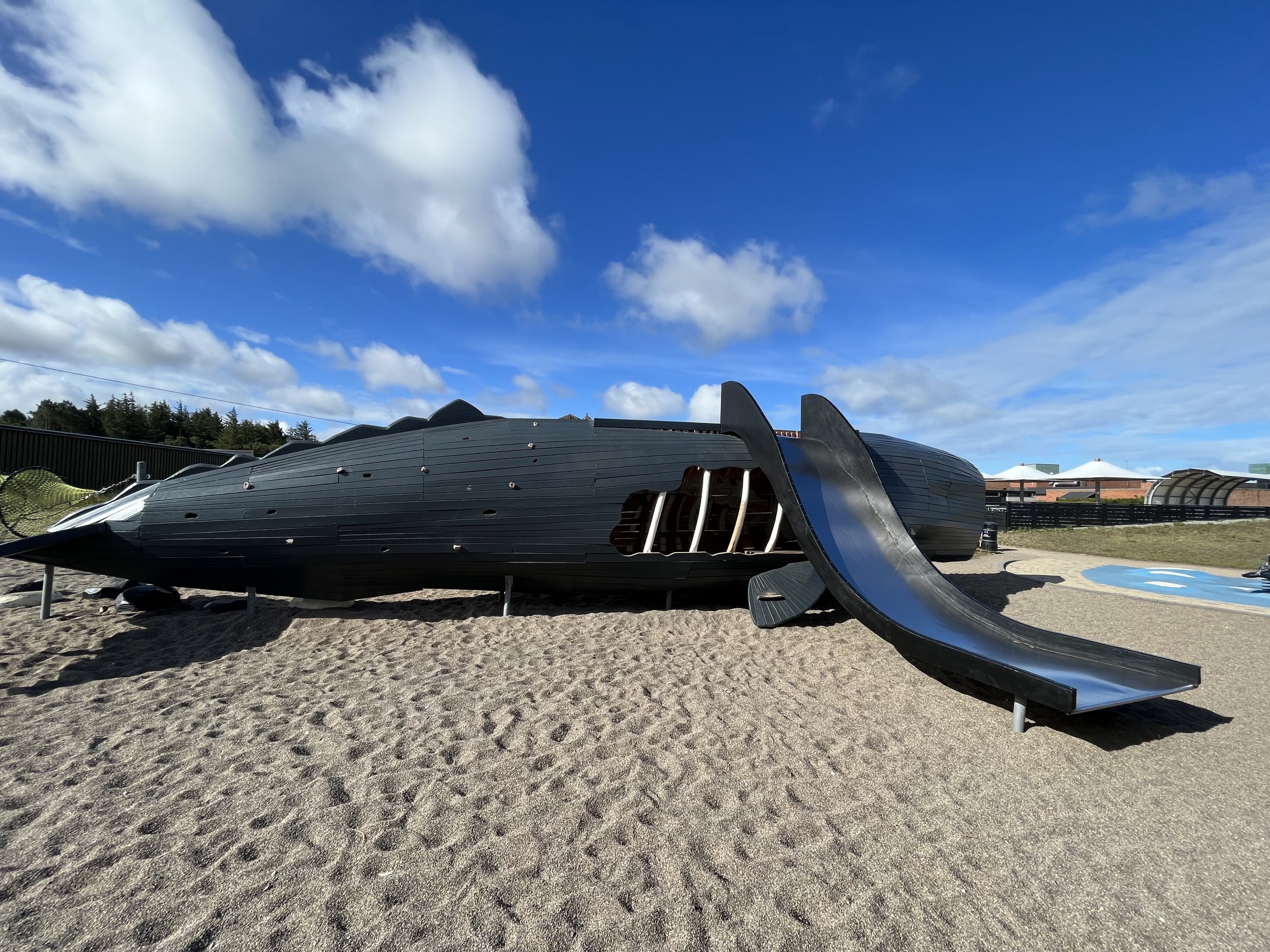 Sperm Whale Slide