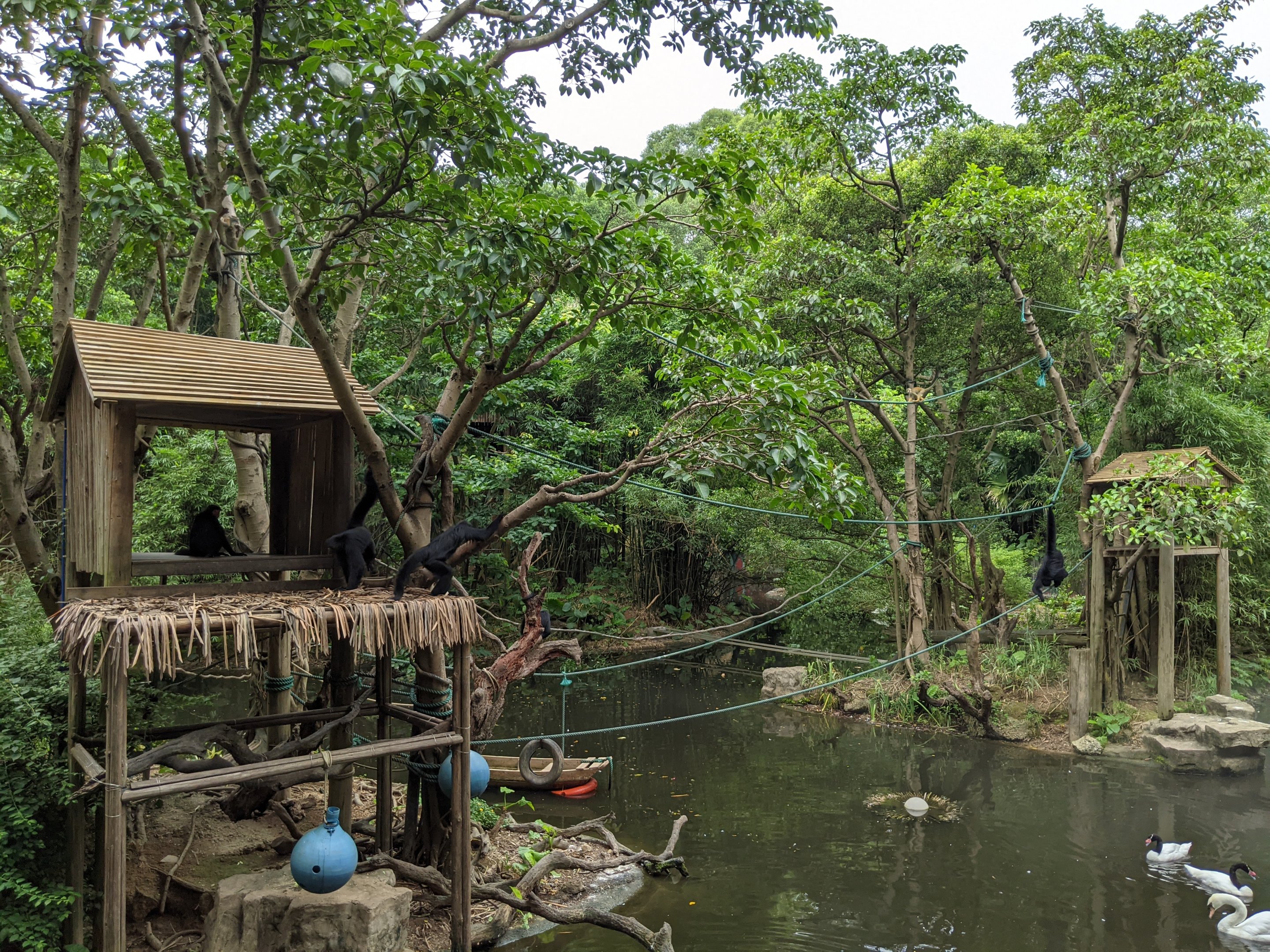 Spider and Squirrel Monkey islands