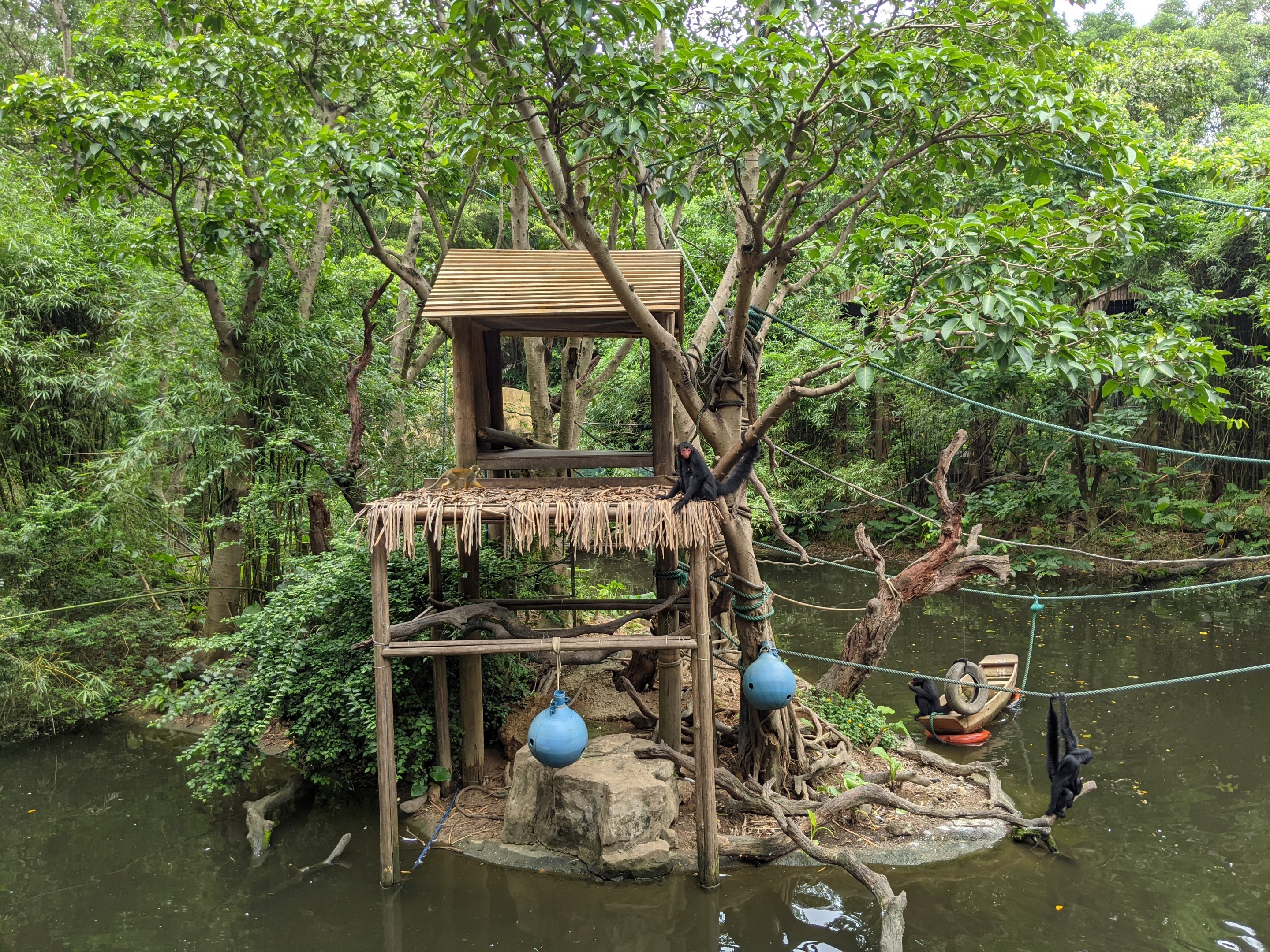 Spider and Squirrel Monkey islands