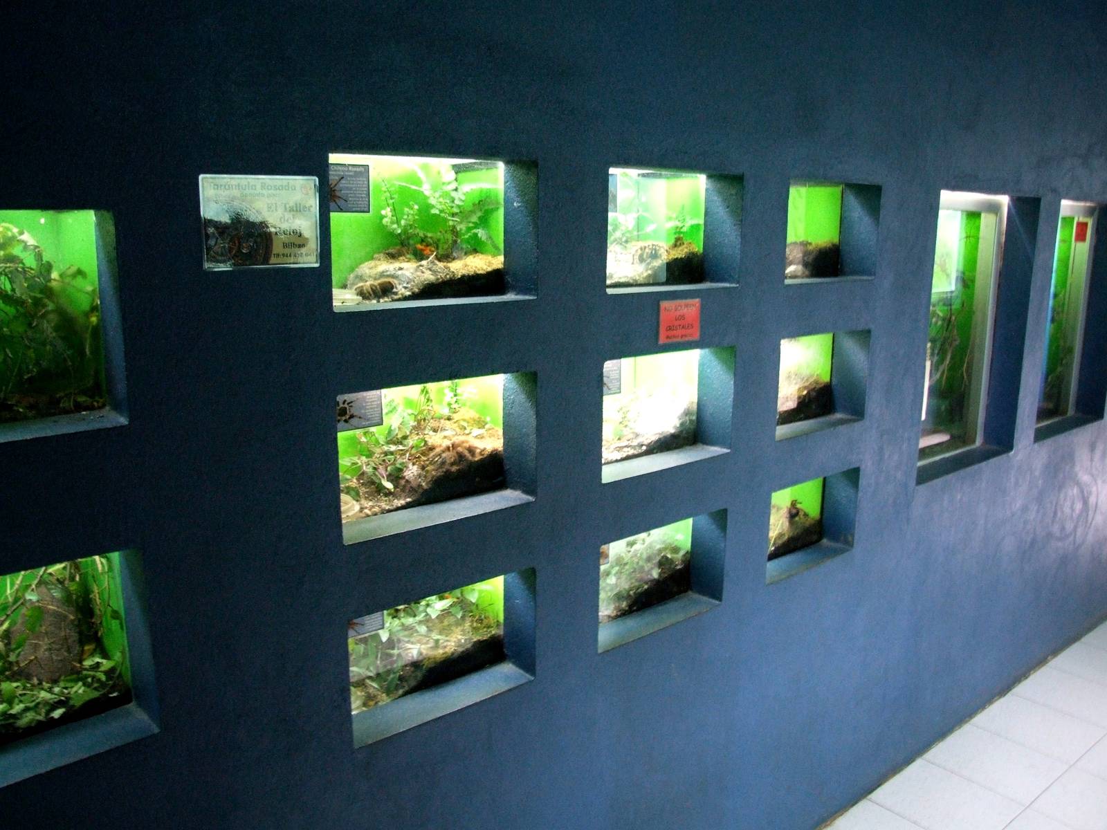 Spider Enclosures at Santillana del Mar, 13/06/15