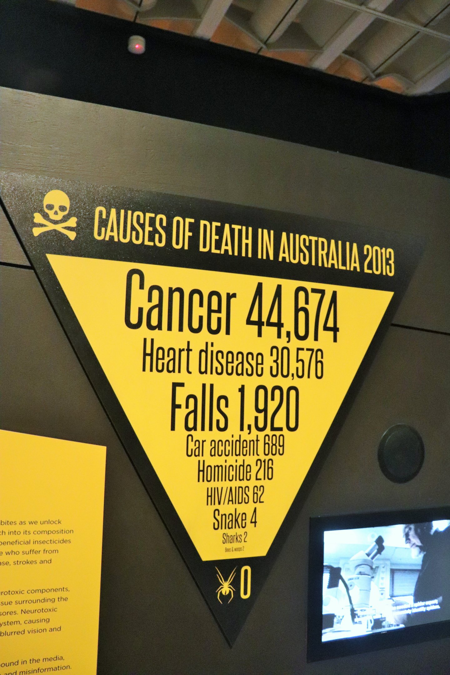 Spider Exhibition- Causes of Death in Australia 2013
